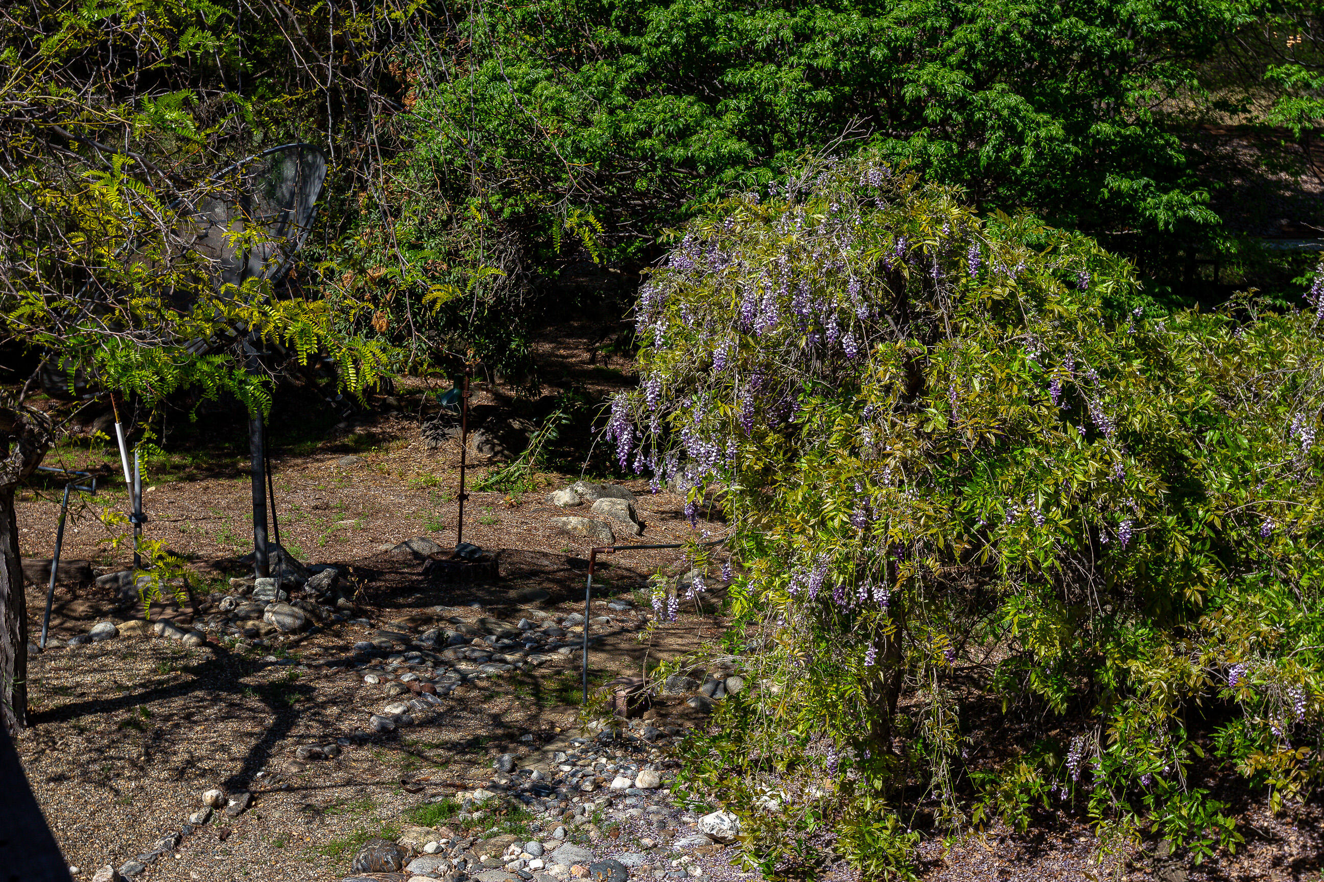 44335 North Fork, Three Rivers, CA 93271