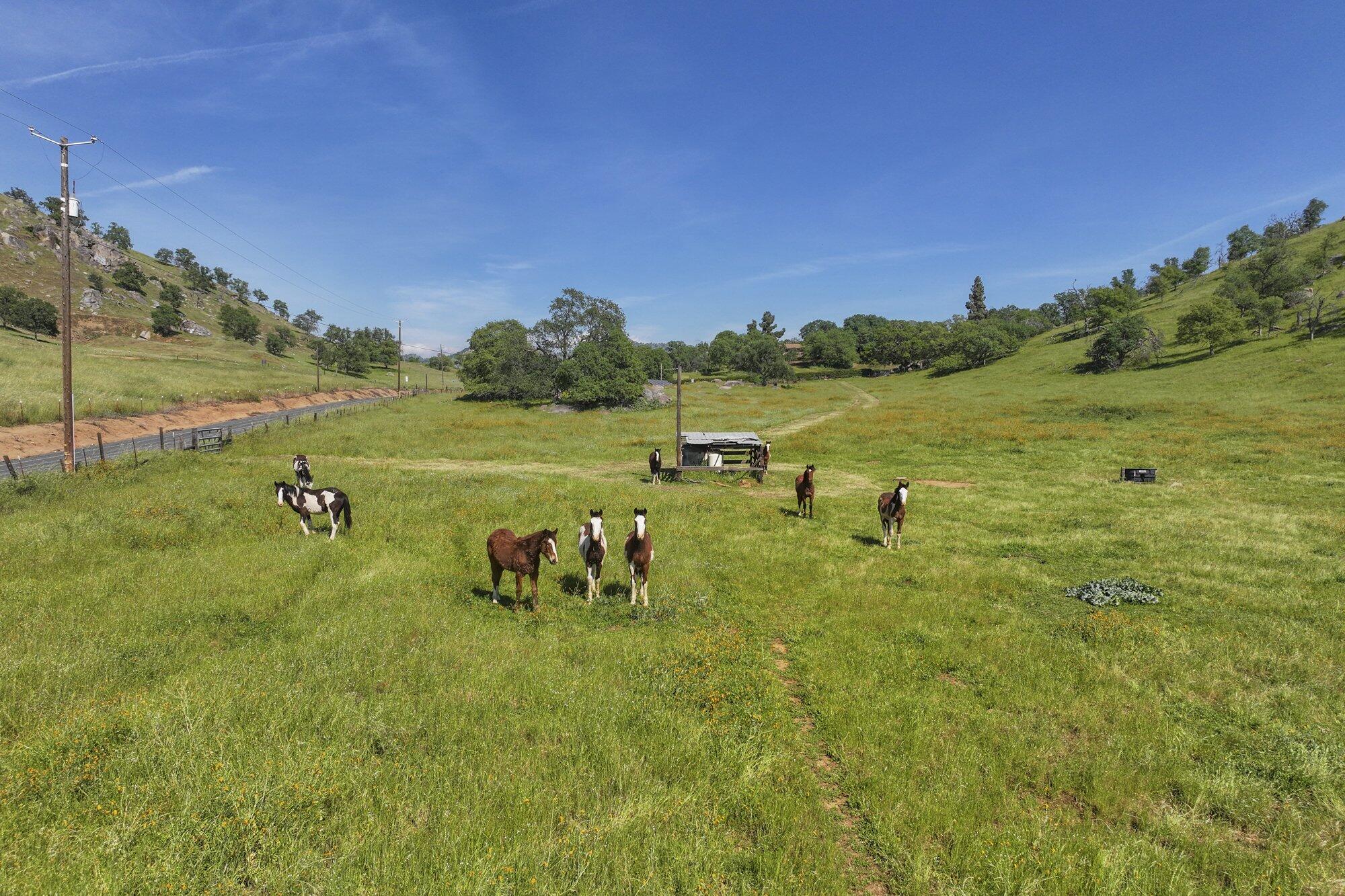 43008 Dr 152, Orosi, CA 93647