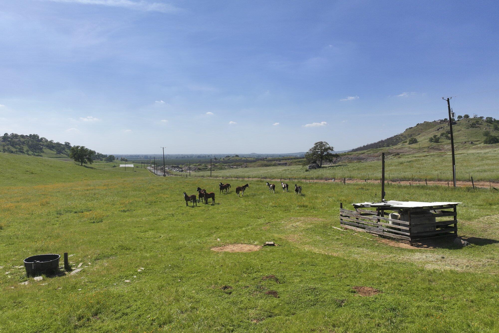 43008 Dr 152, Orosi, CA 93647