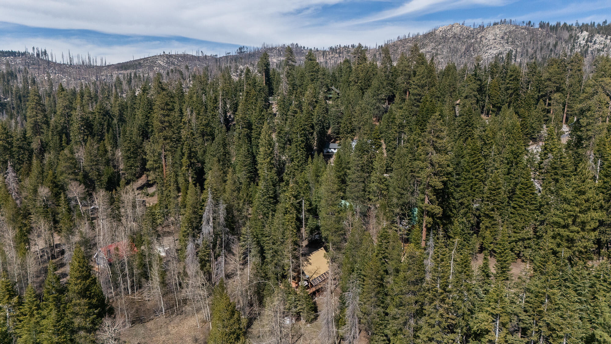 57715 Fox Dr, Ponderosa, CA 93265