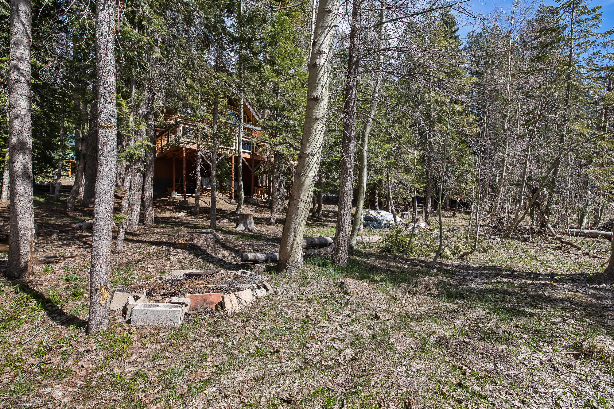 57715 Fox Dr, Ponderosa, CA 93265