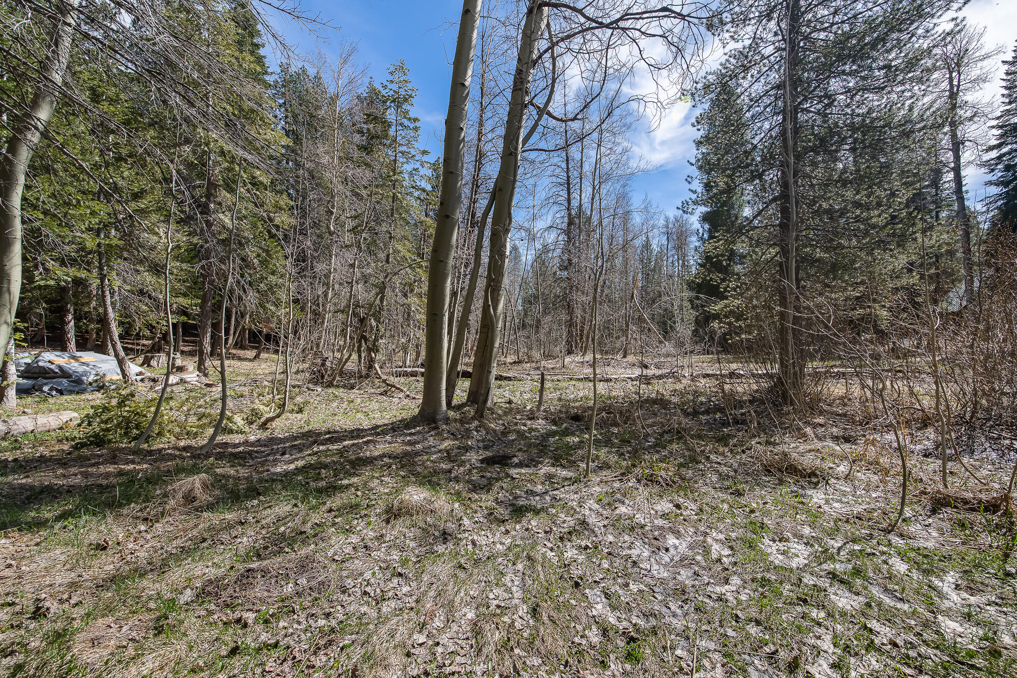 57715 Fox Dr, Ponderosa, CA 93265