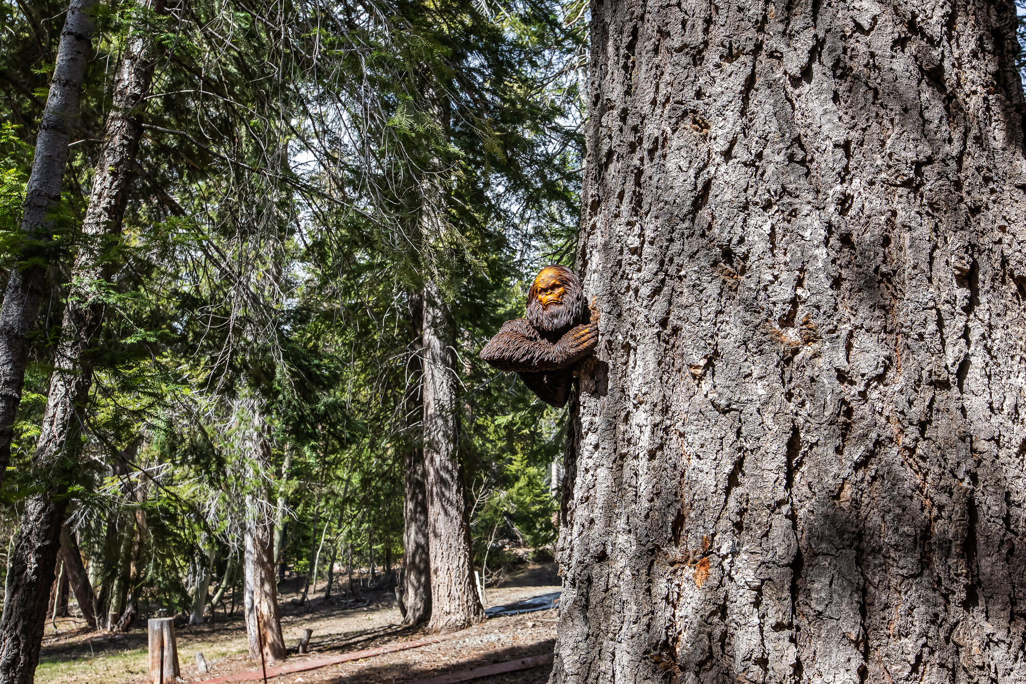 57715 Fox Dr, Ponderosa, CA 93265