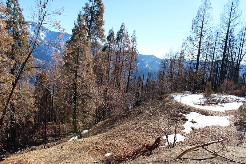 0 Redwood Dr, Springville, CA 93265