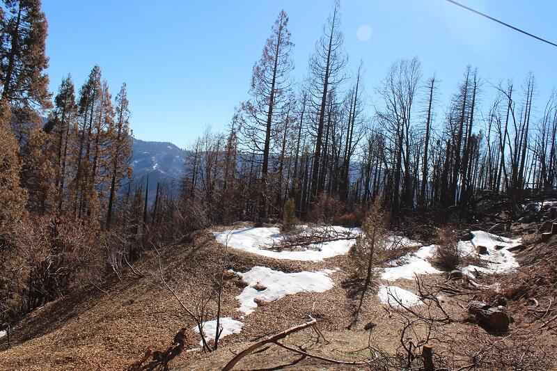 0 Redwood Dr, Springville, CA 93265