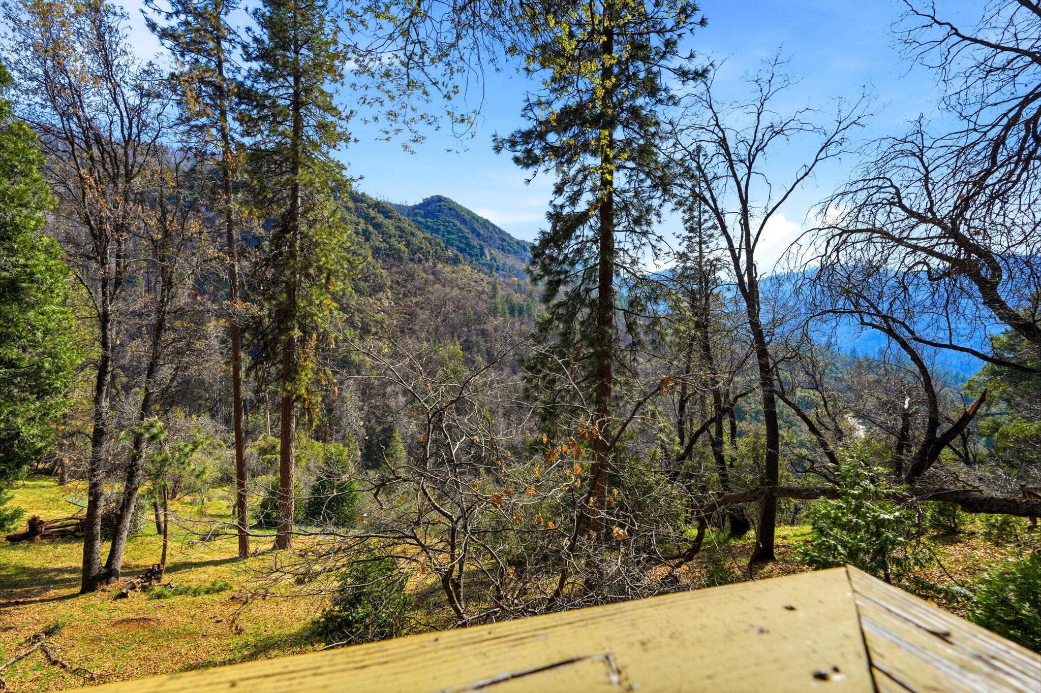 1900 Flynn Dr, Springville, CA 93265