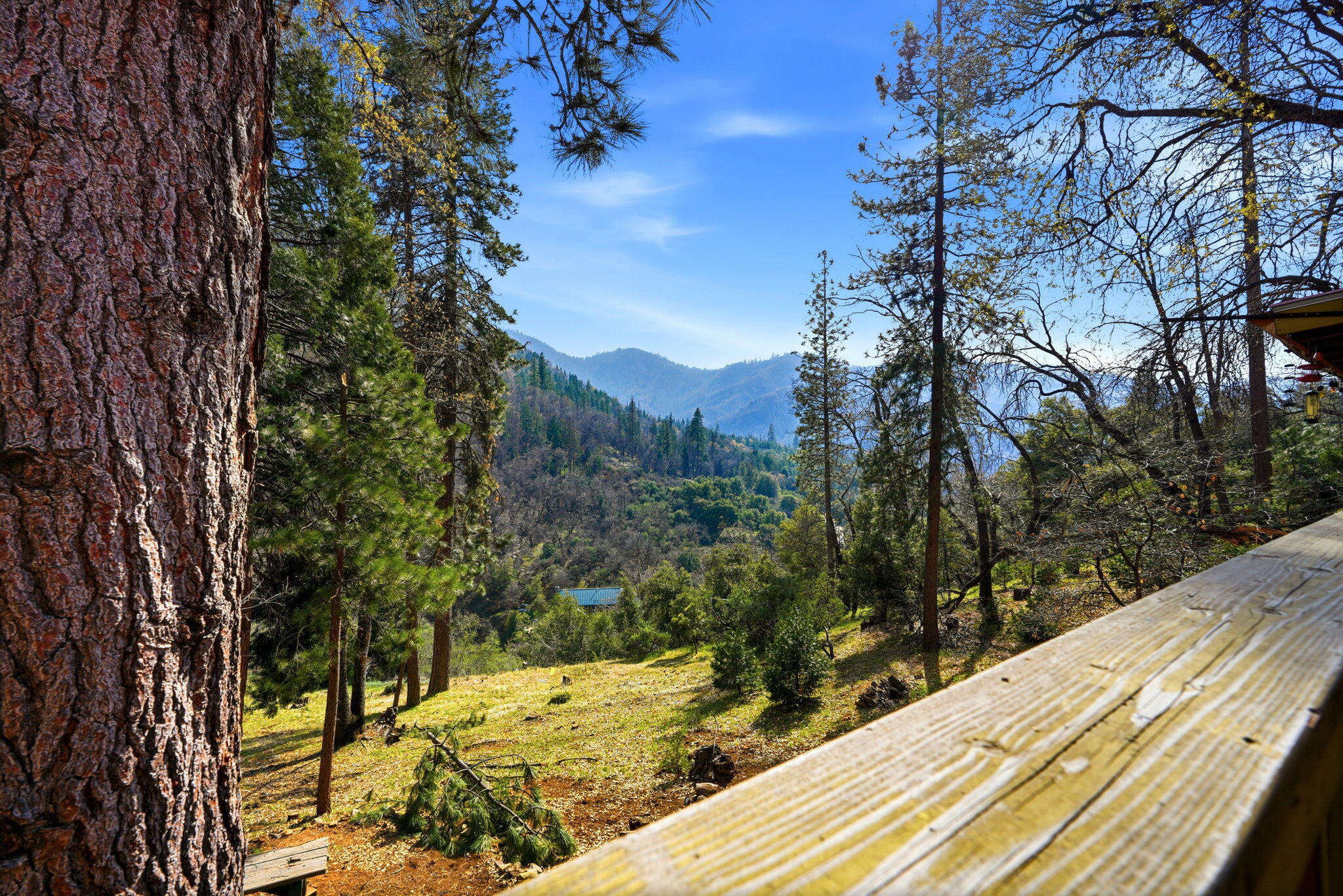 1900 Flynn Dr, Springville, CA 93265