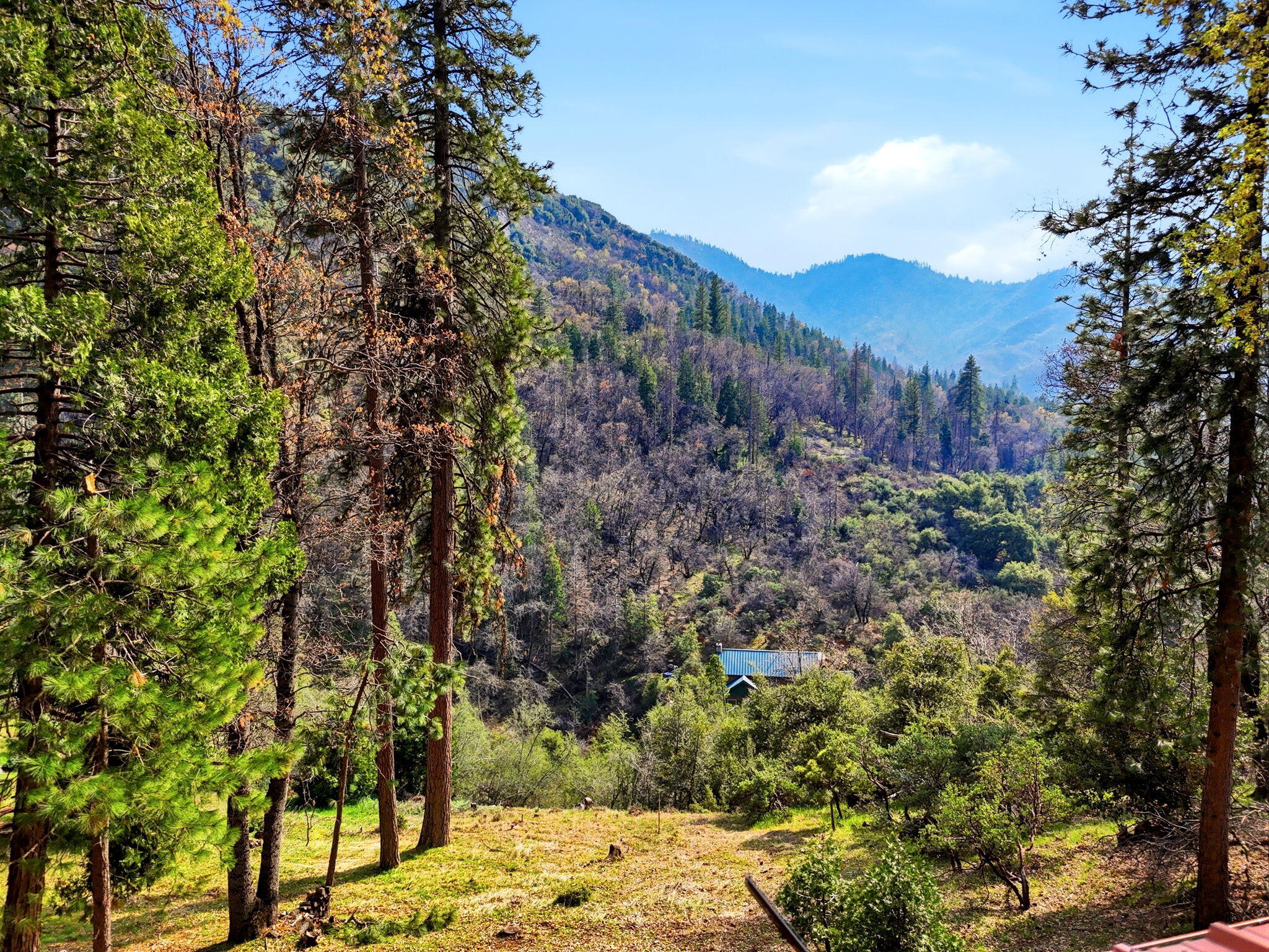 1900 Flynn Dr, Springville, CA 93265