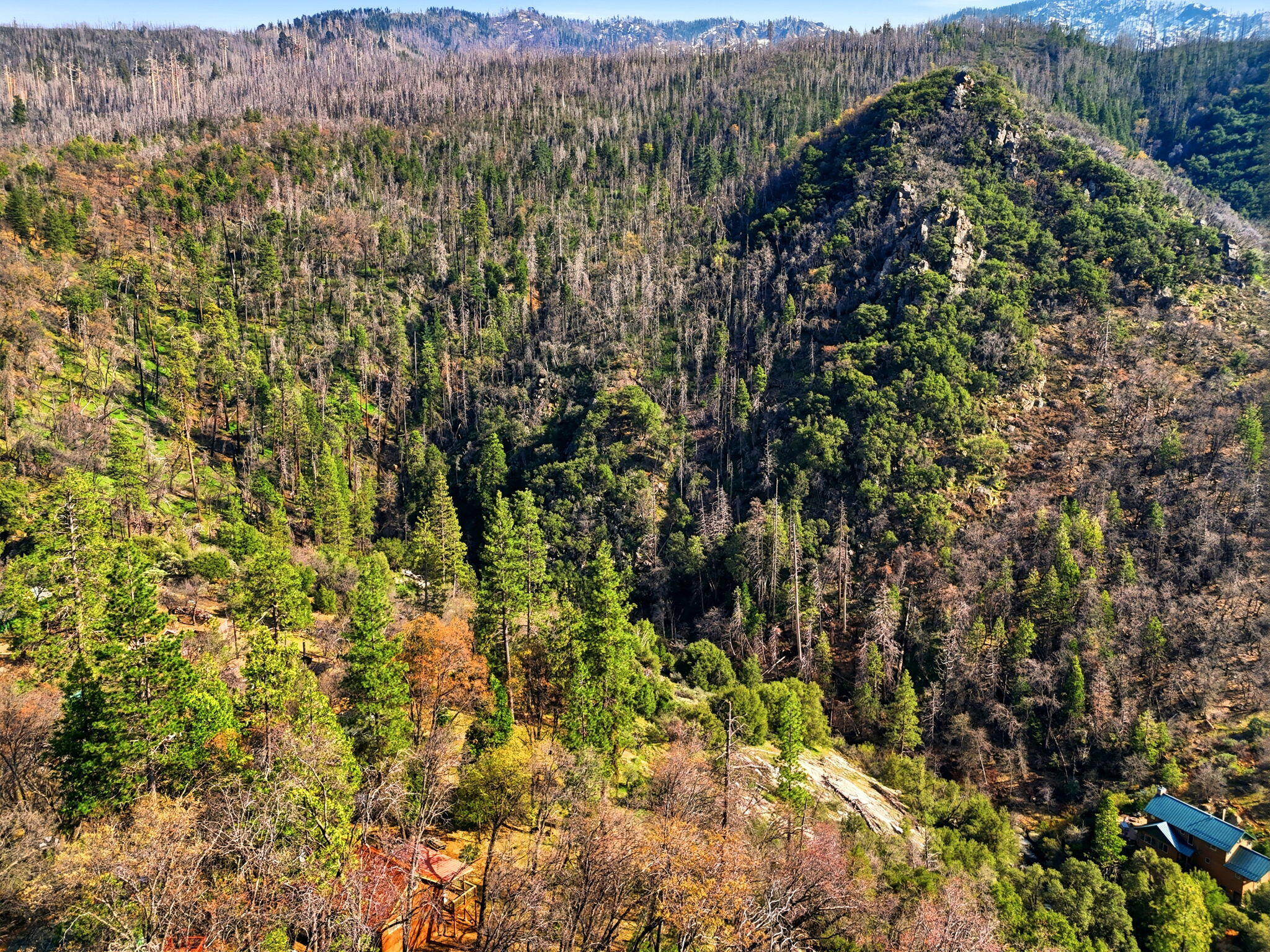 1900 Flynn Dr, Springville, CA 93265