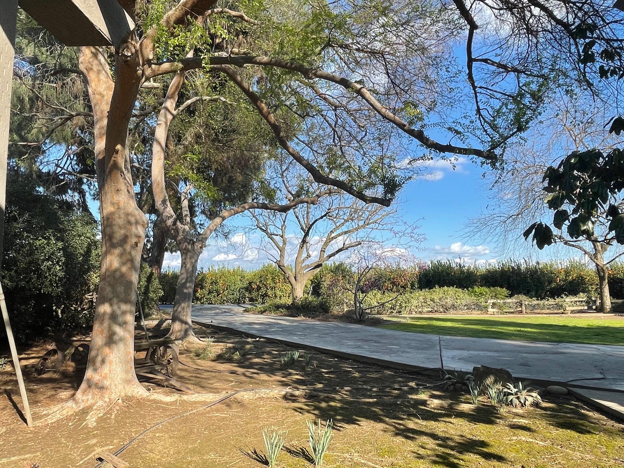 41493 Road 96, Dinuba, CA 93618