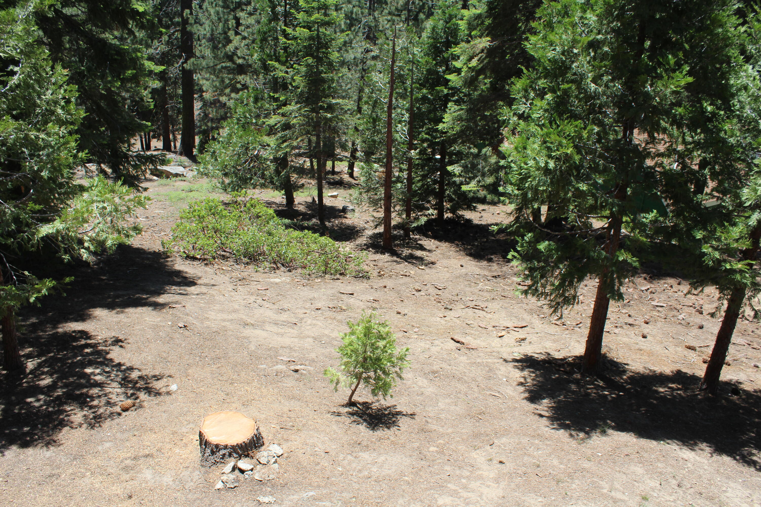 57910 Peppermint Dr, Ponderosa, CA 93265