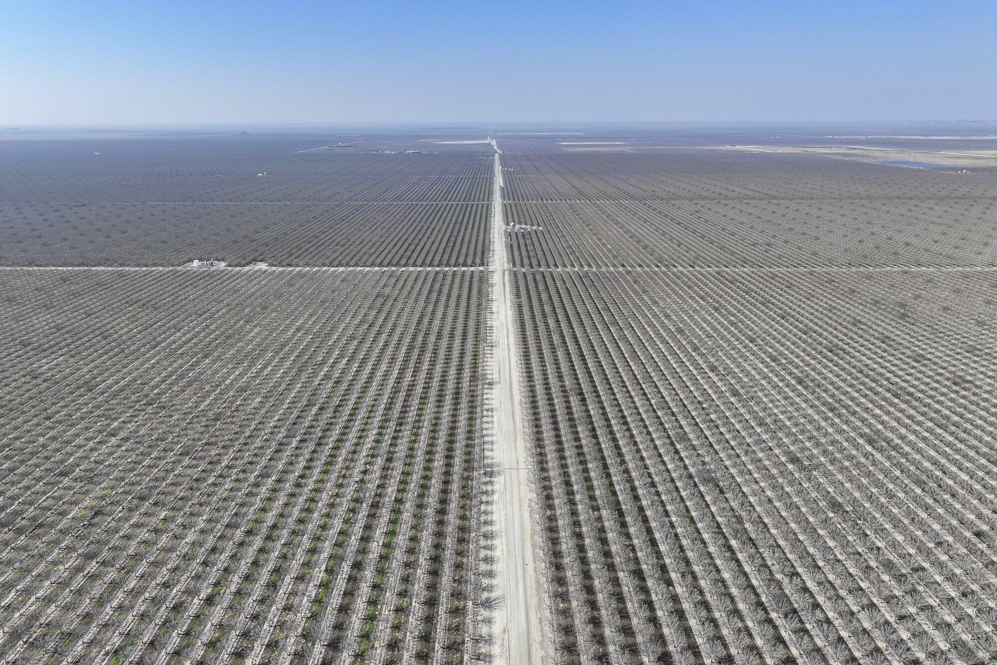 0 Hwy 43, Earlimart, CA 93219