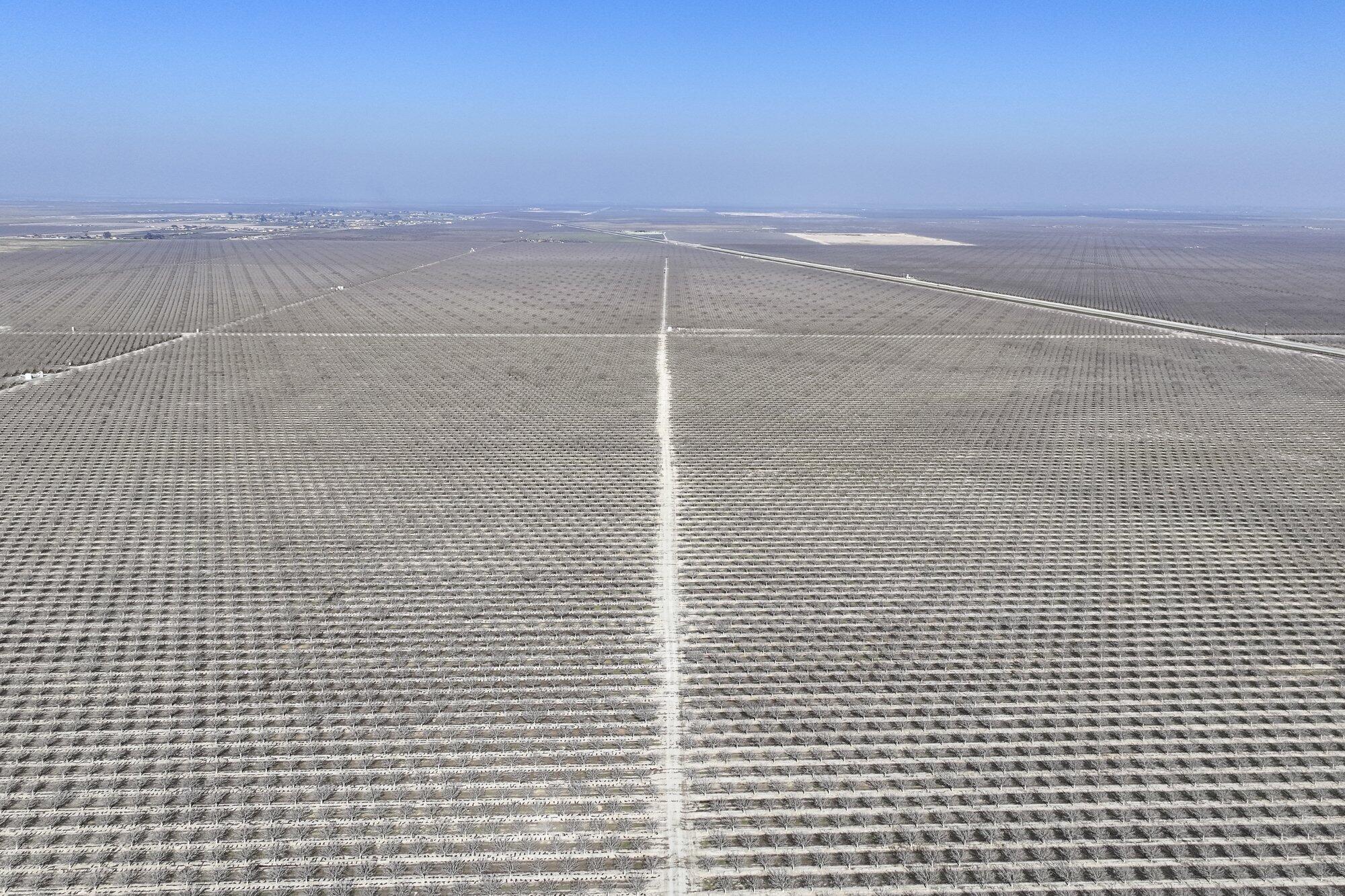 0 Hwy 43, Earlimart, CA 93219