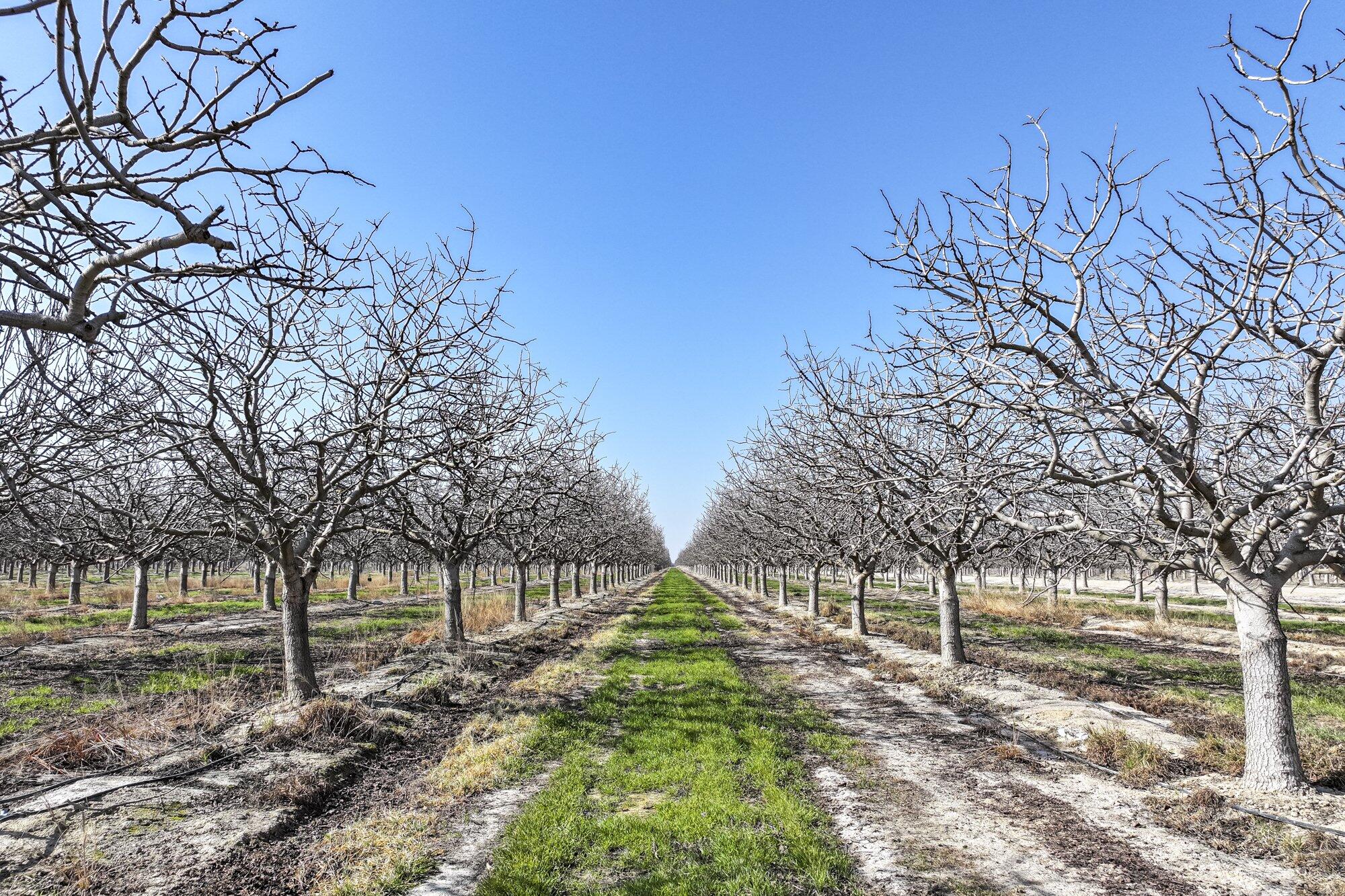 0 Hwy 43, Earlimart, CA 93219