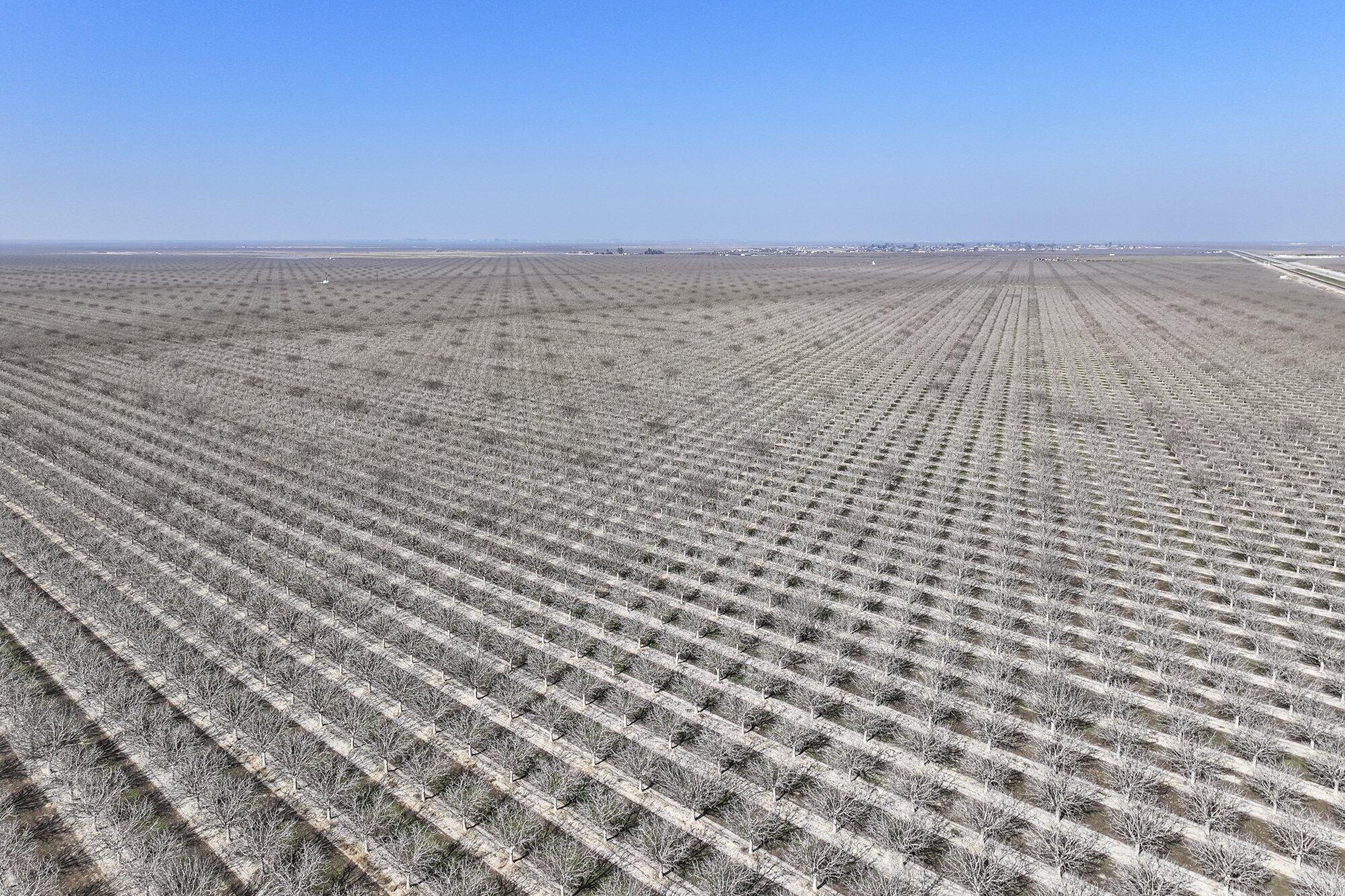 0 Hwy 43, Earlimart, CA 93219