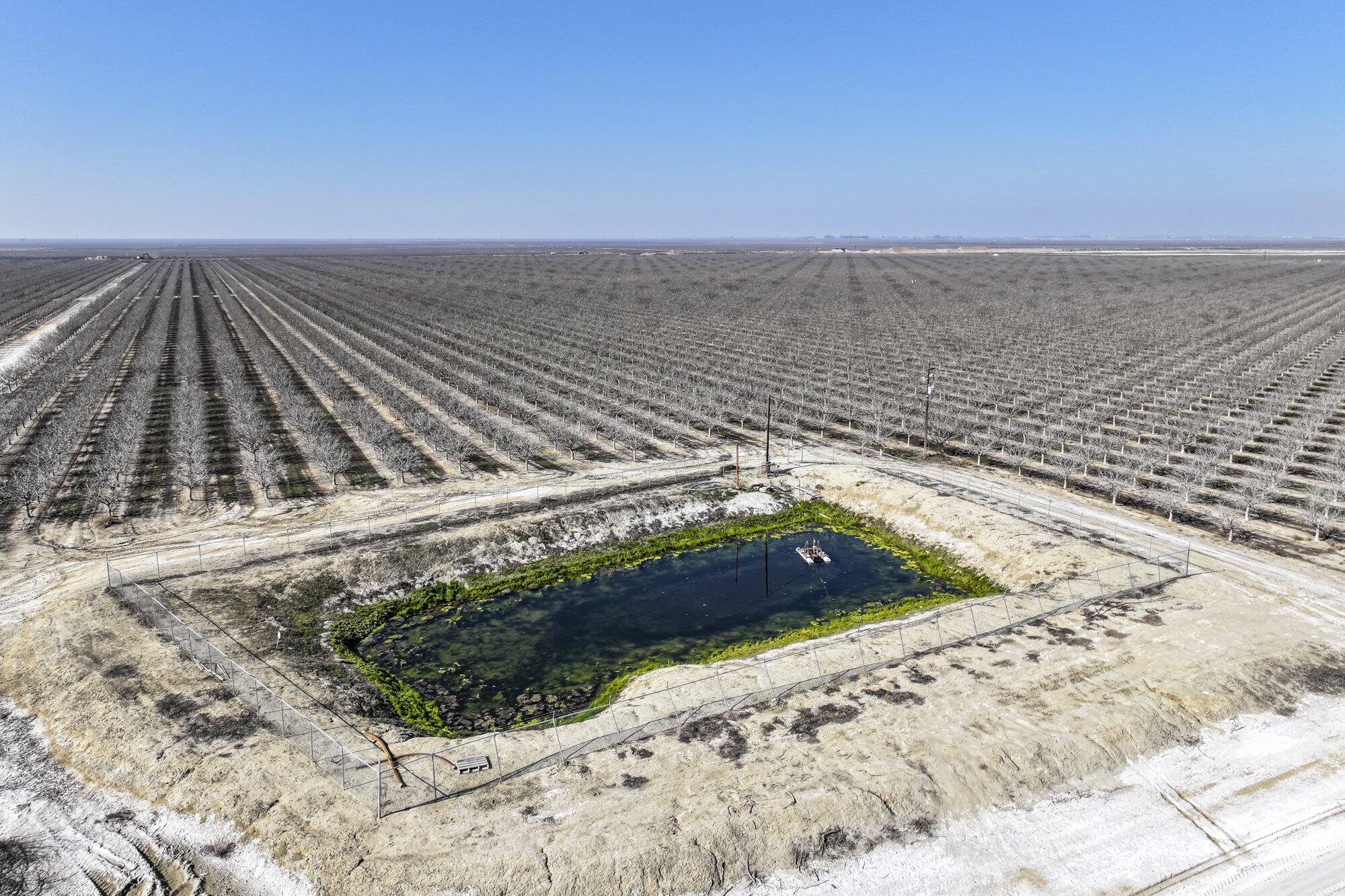 0 Hwy 43, Earlimart, CA 93219