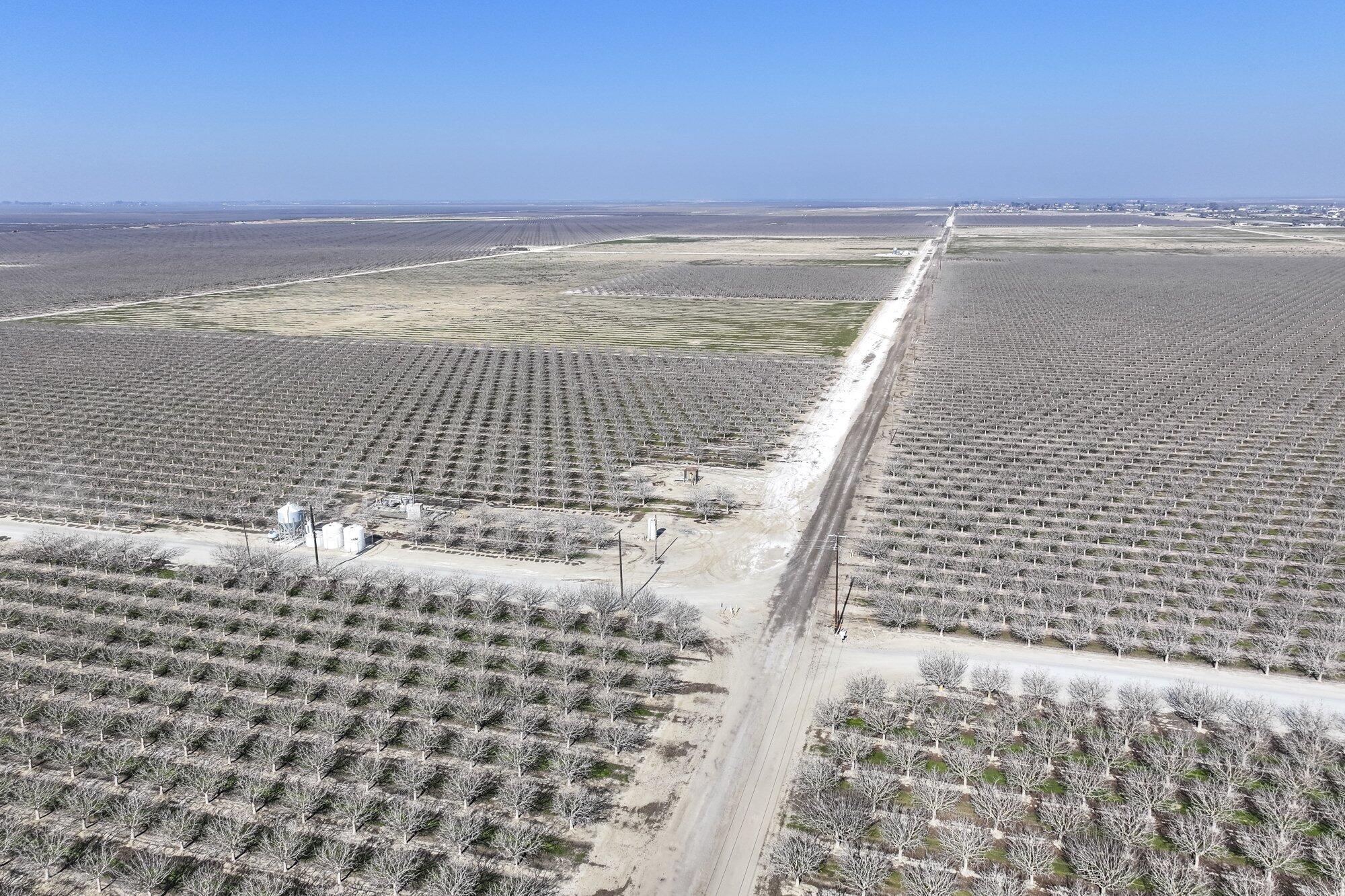 0 Hwy 43, Earlimart, CA 93219