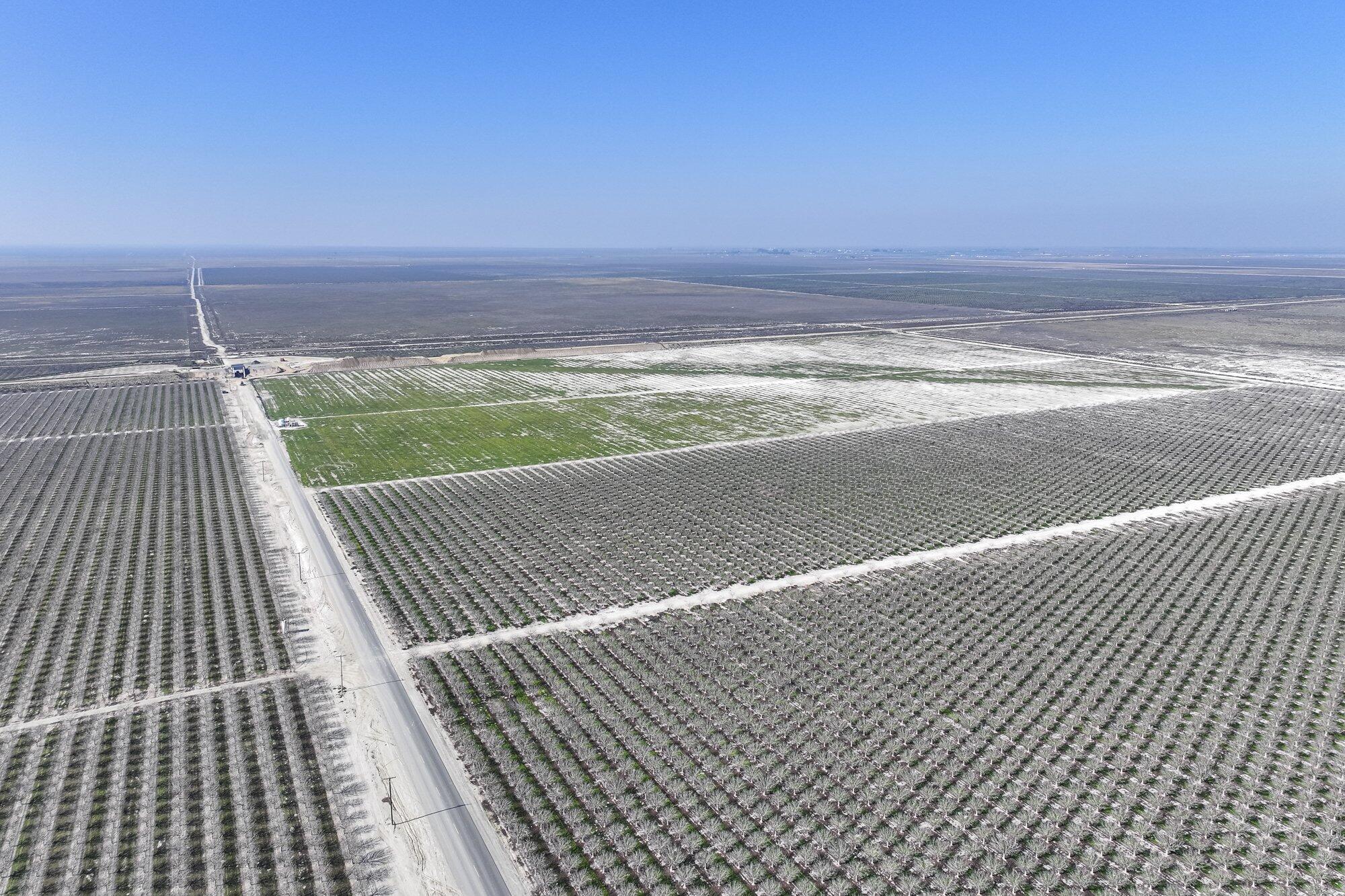 0 Hwy 43, Earlimart, CA 93219