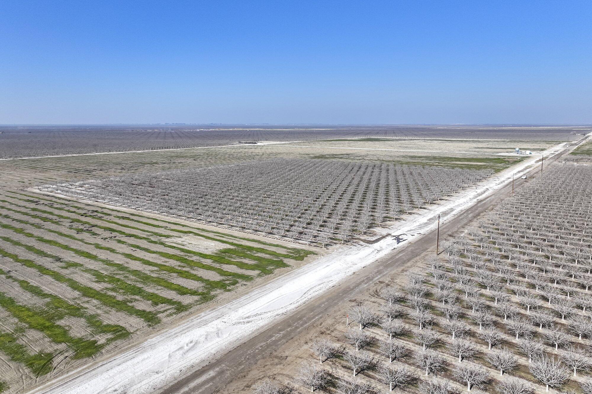 0 Hwy 43, Earlimart, CA 93219