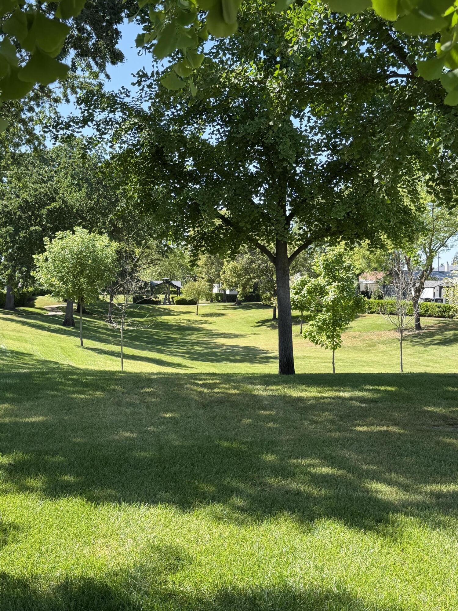 3103 S Avocado St ##54, Visalia, CA 93277