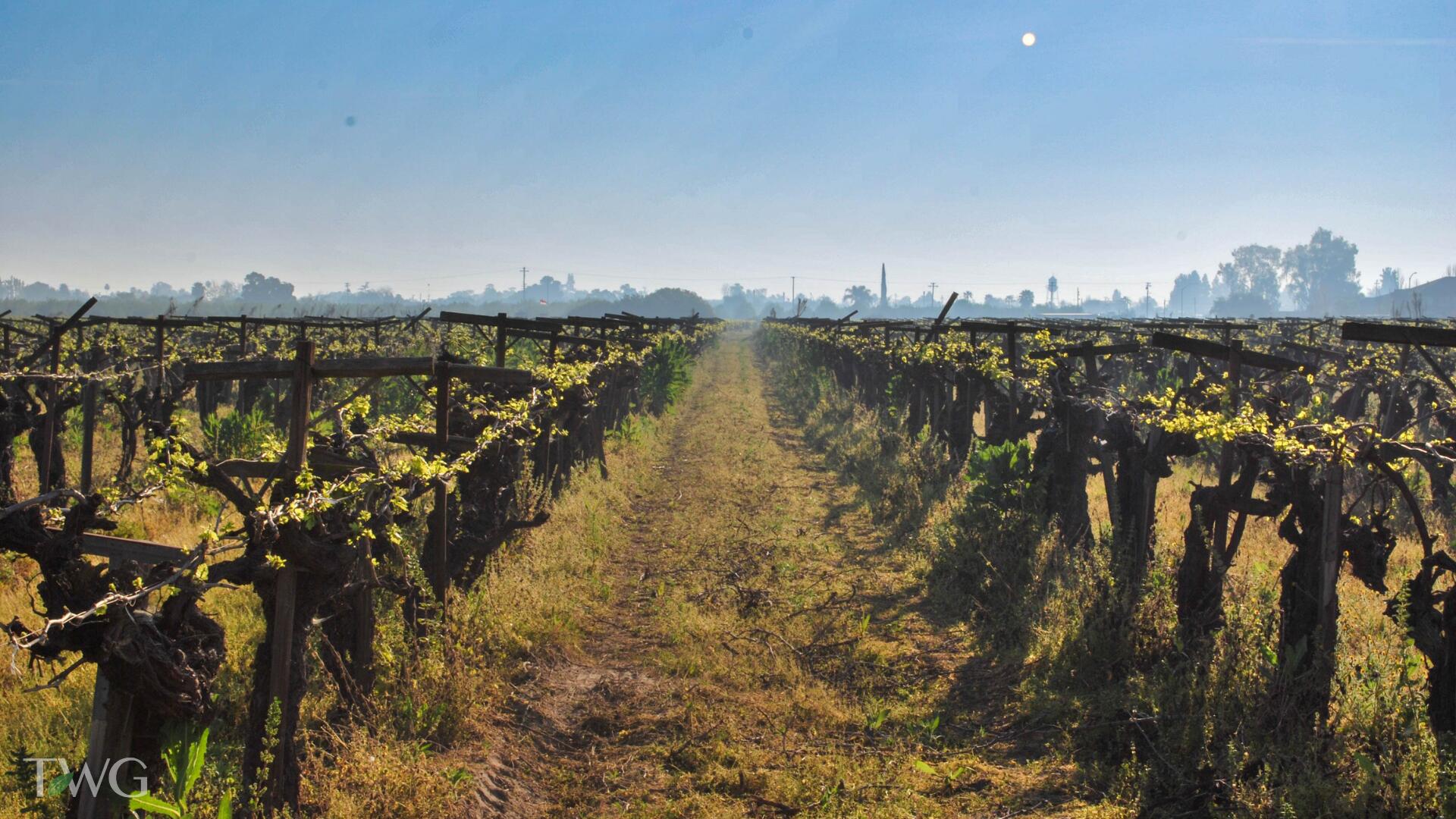 5250 E Adams Ave, Fowler, CA 93625