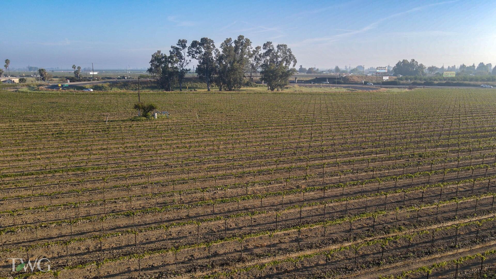 5250 E Adams Ave, Fowler, CA 93625