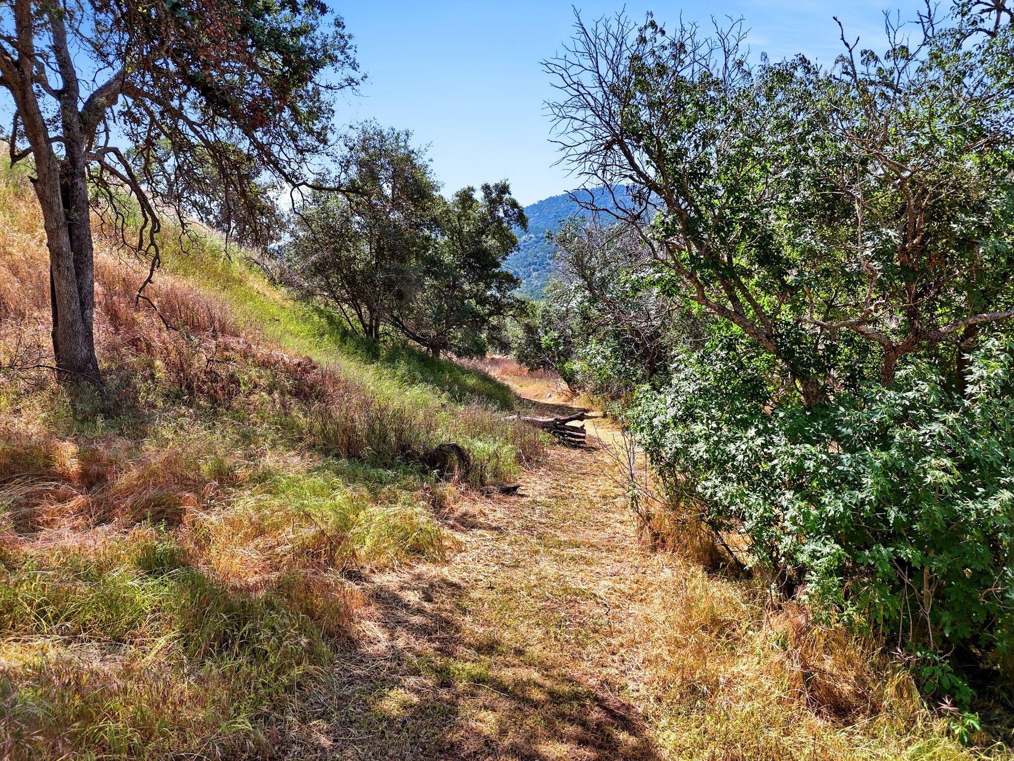 40716 Old Three Rivers Rd, Three Rivers, CA 93271