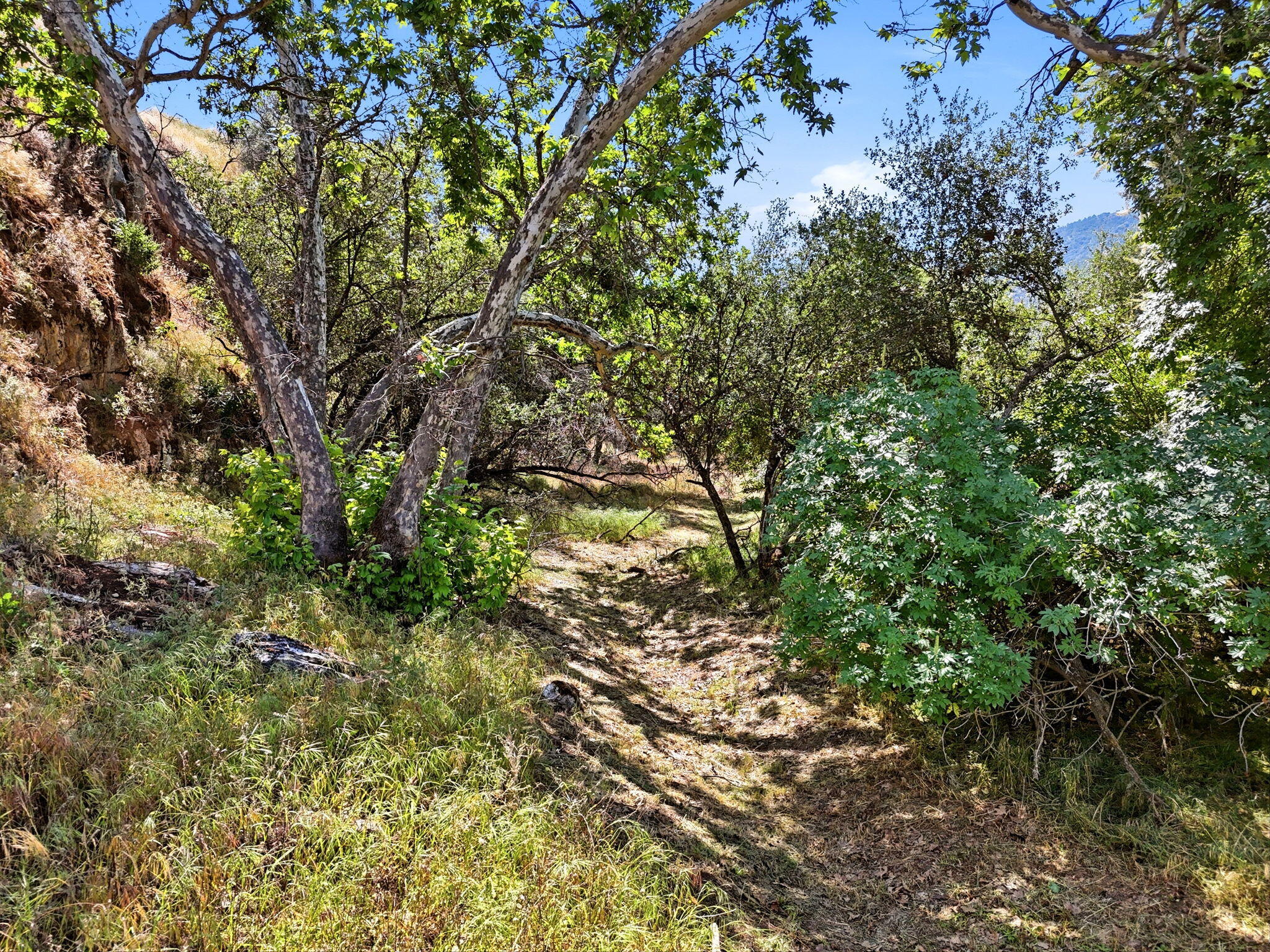 40716 Old Three Rivers Rd, Three Rivers, CA 93271