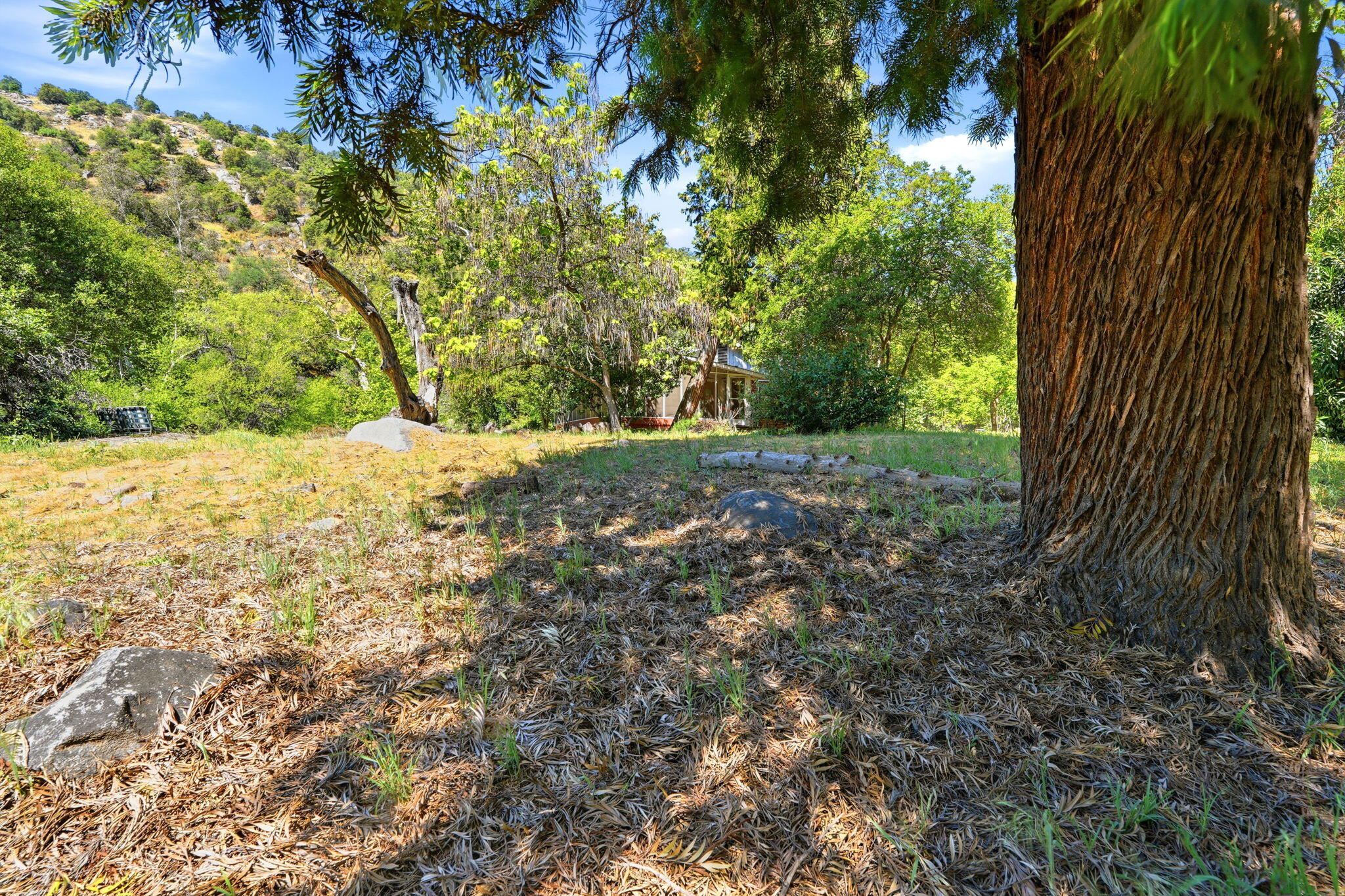 44231 North Fork Dr, Three Rivers, CA 93271