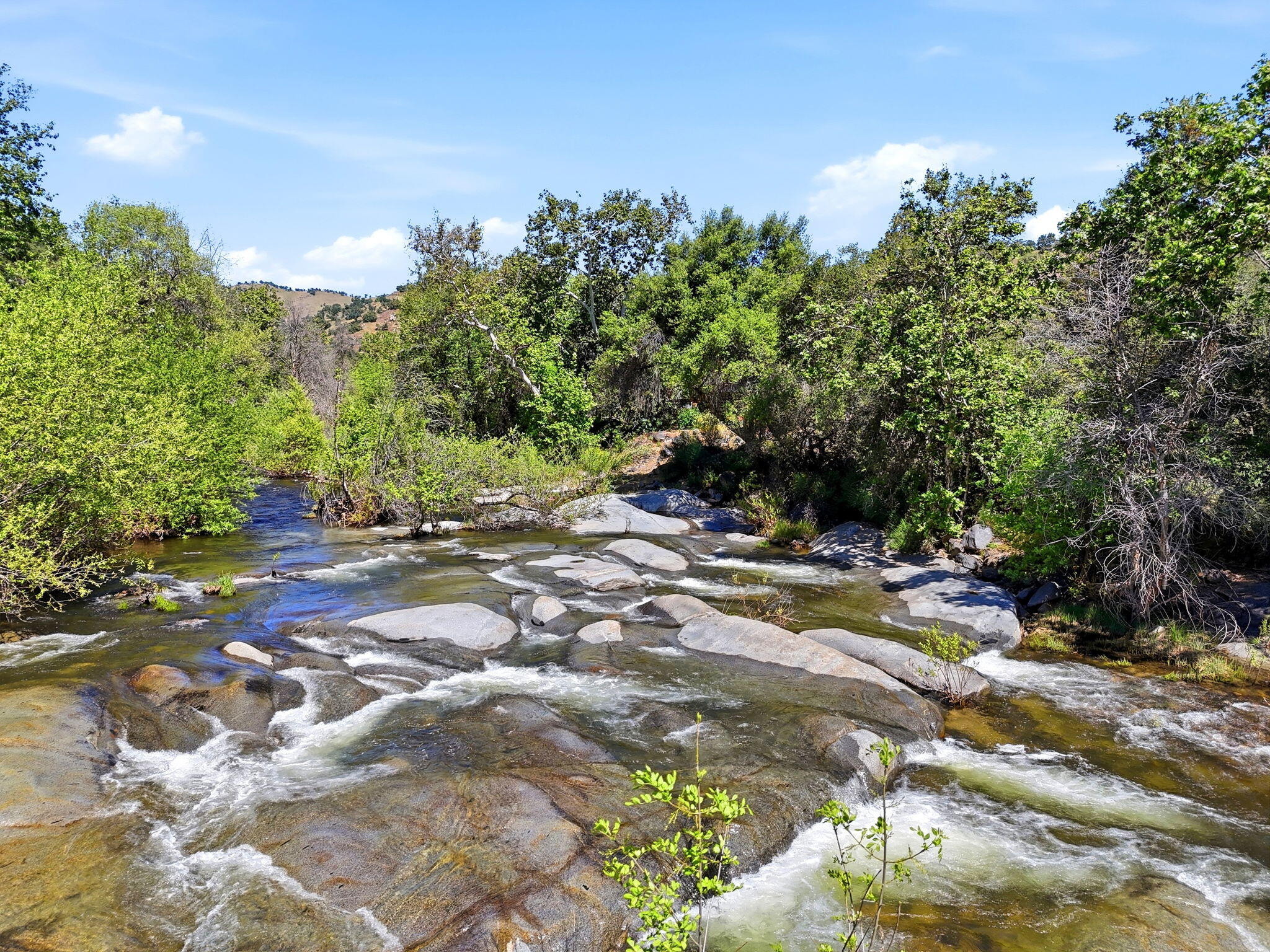 44231 North Fork Dr, Three Rivers, CA 93271