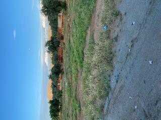 20982 Redwood Ave, Lindsay, CA 93247