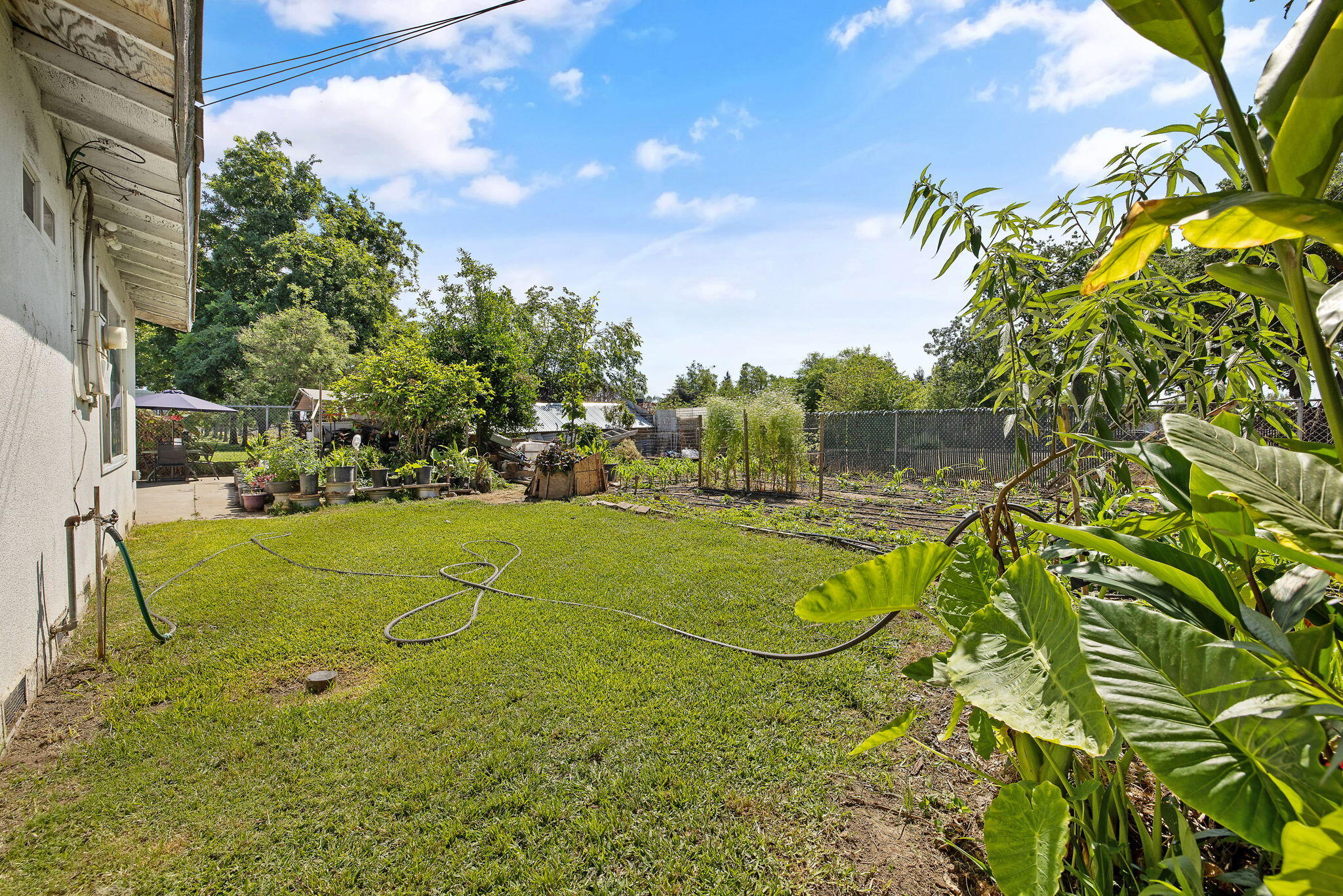 1117 W Wren Ave, Visalia, CA 93291