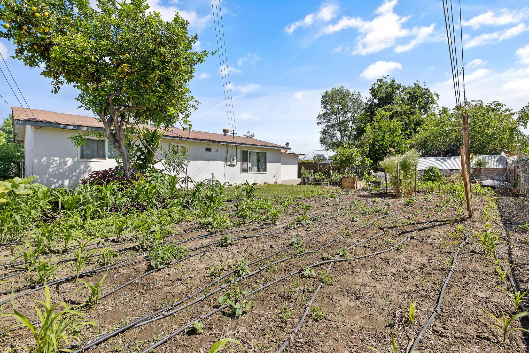 1117 W Wren Ave, Visalia, CA 93291