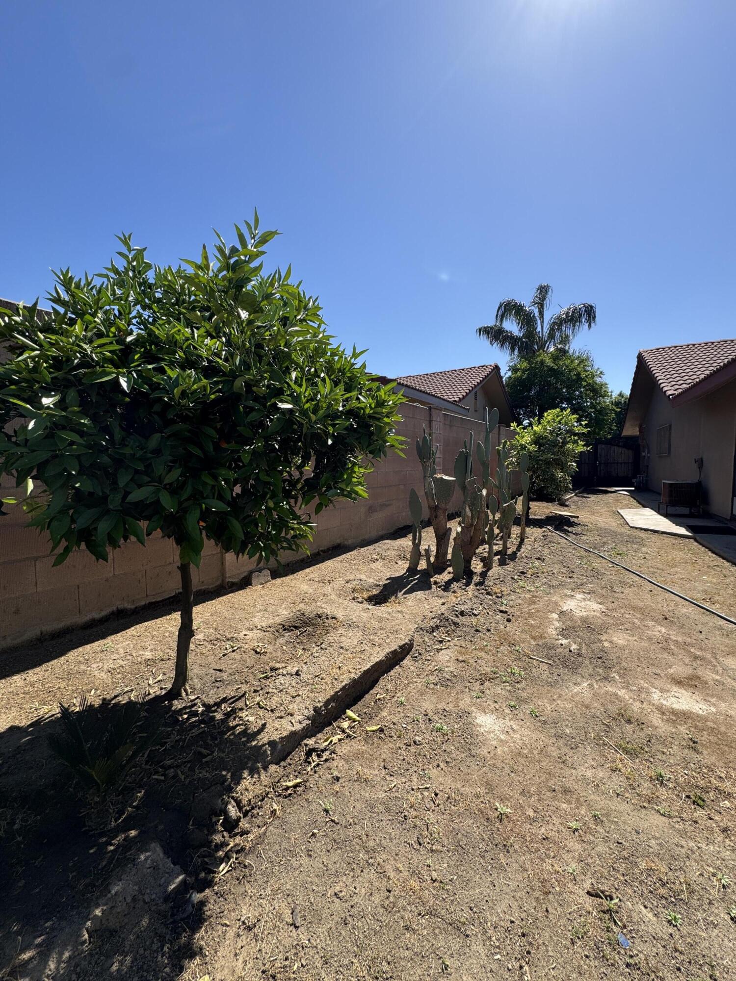 1502 S Lydia Dr, Tulare, CA 93274