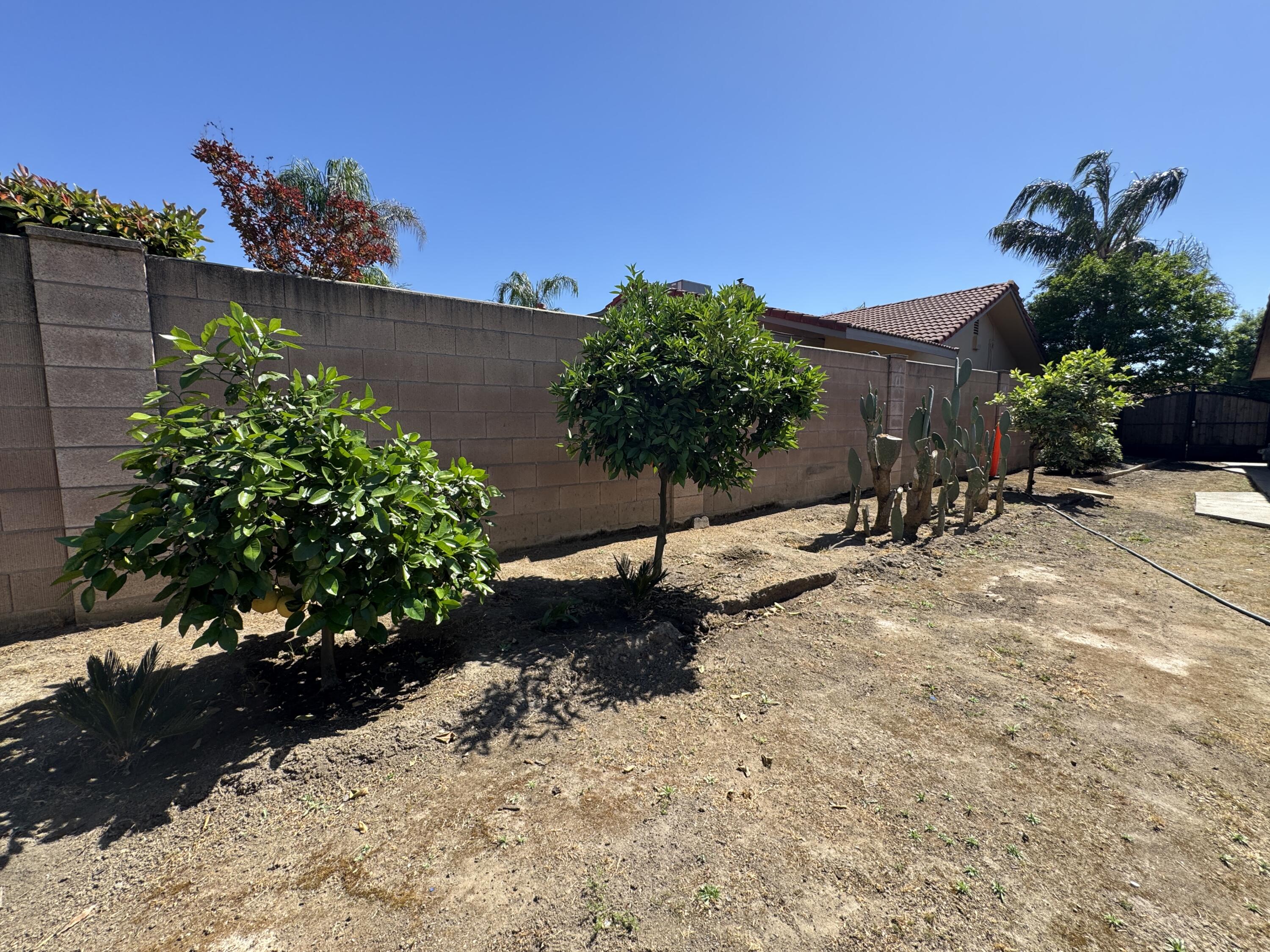 1502 S Lydia Dr, Tulare, CA 93274