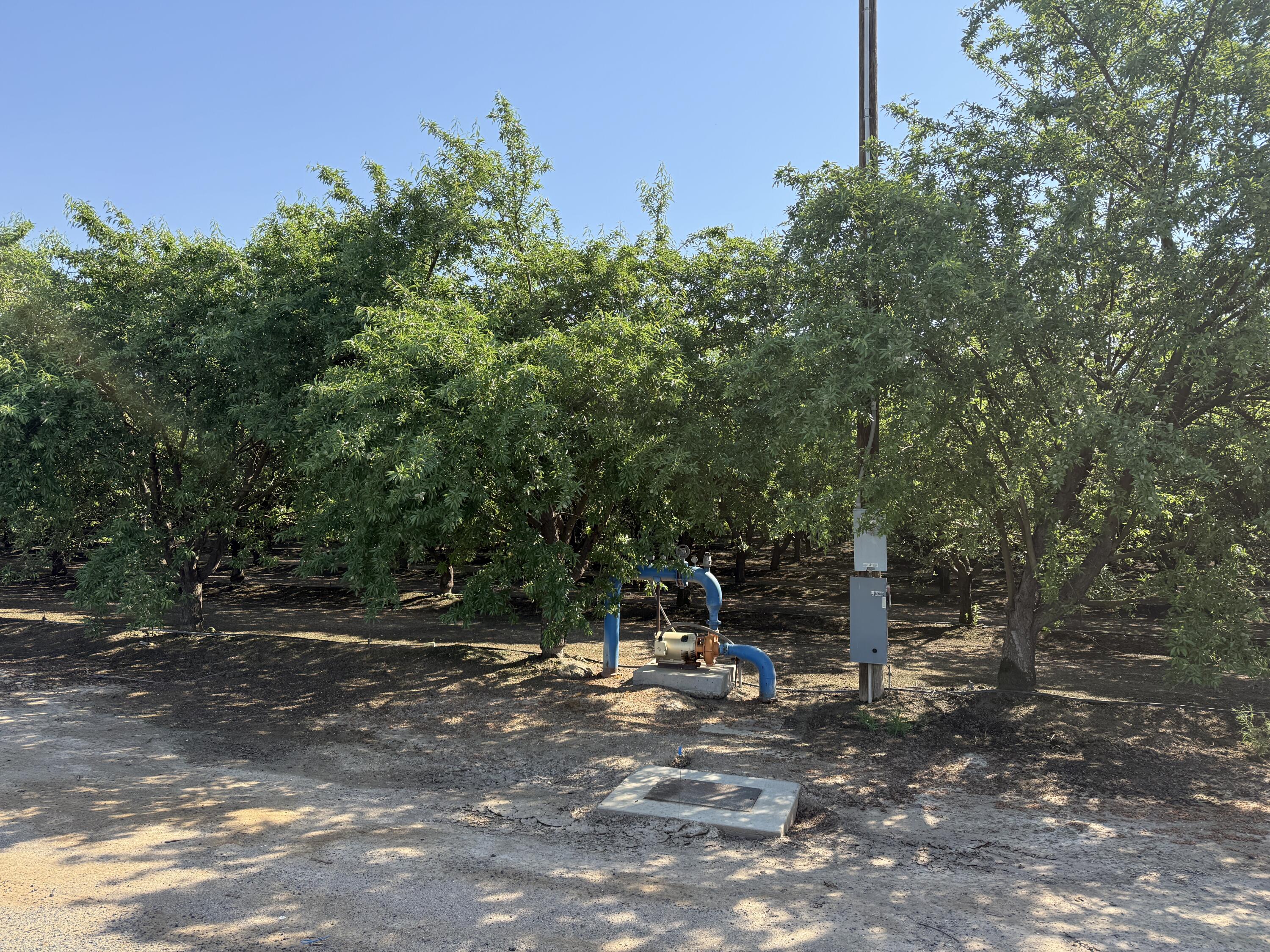 15500 Rd 200, Porterville, CA 93257