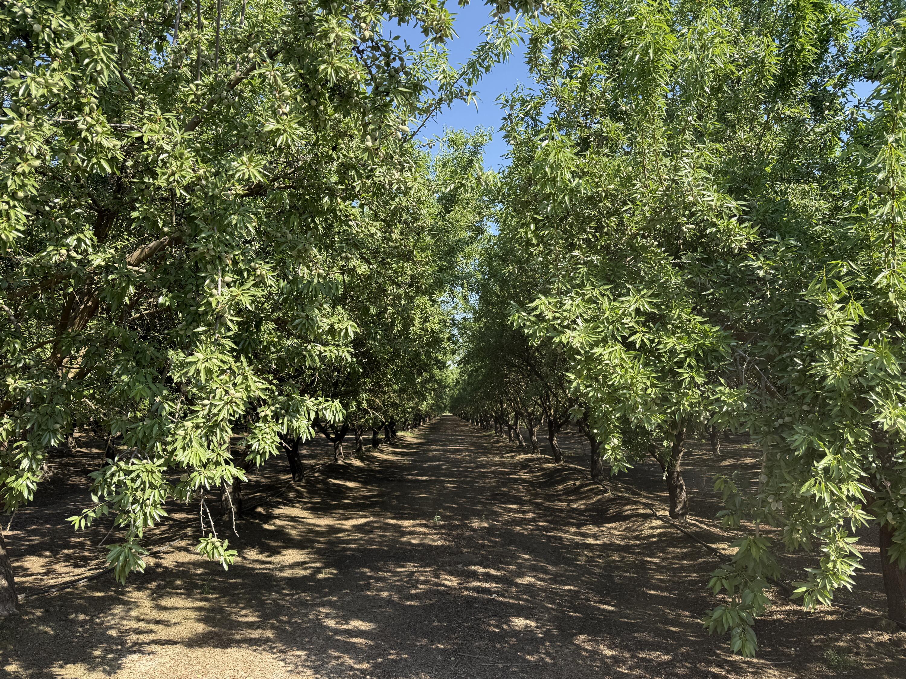 15500 Rd 200, Porterville, CA 93257