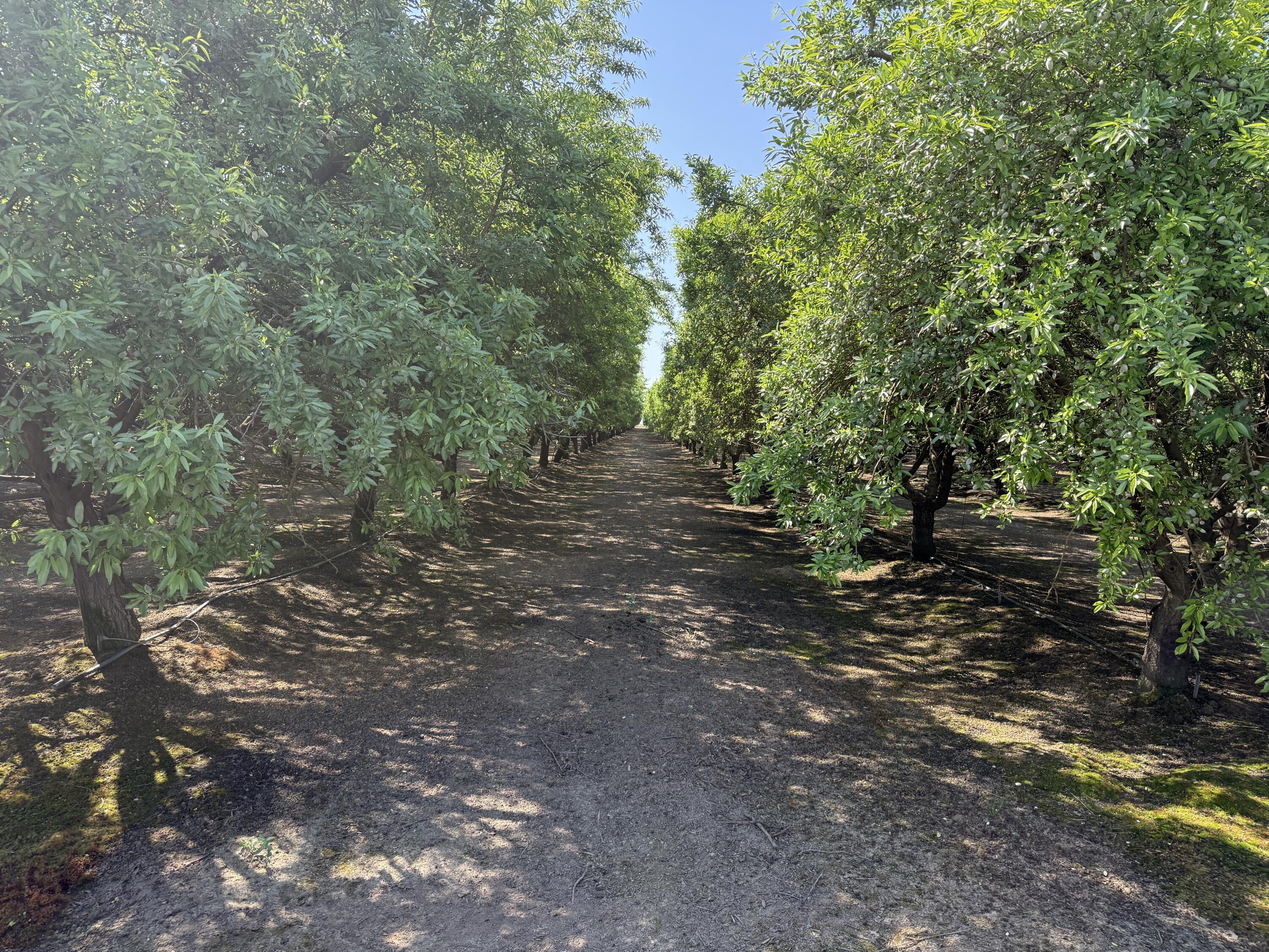 15500 Rd 200, Porterville, CA 93257