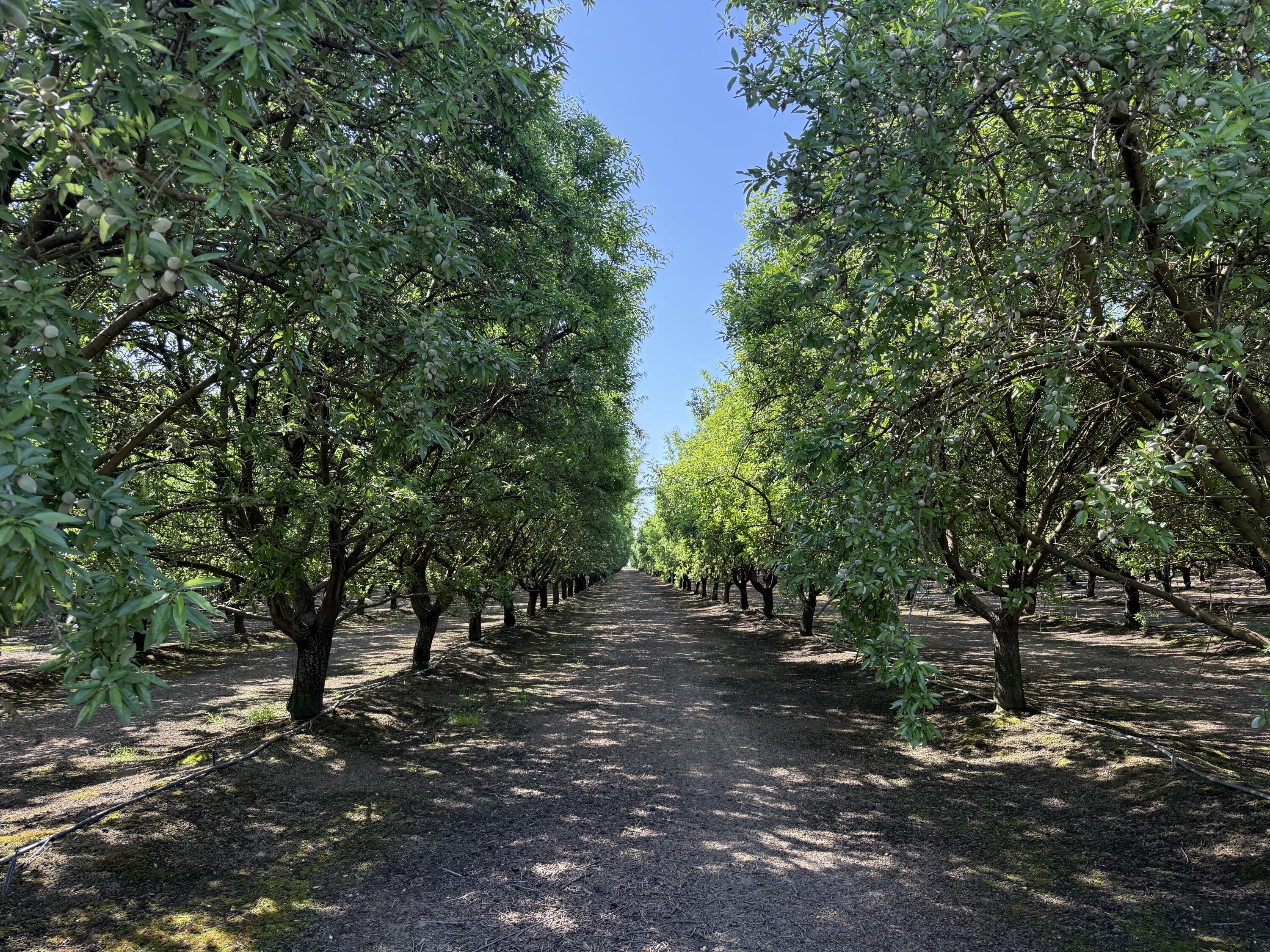 15500 Rd 200, Porterville, CA 93257