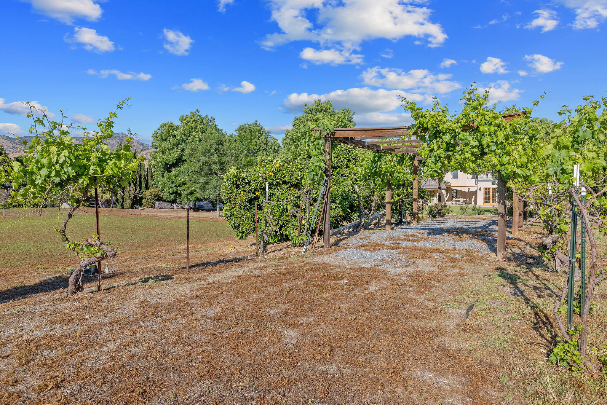 31731 Mill Dr, Springville, CA 93265