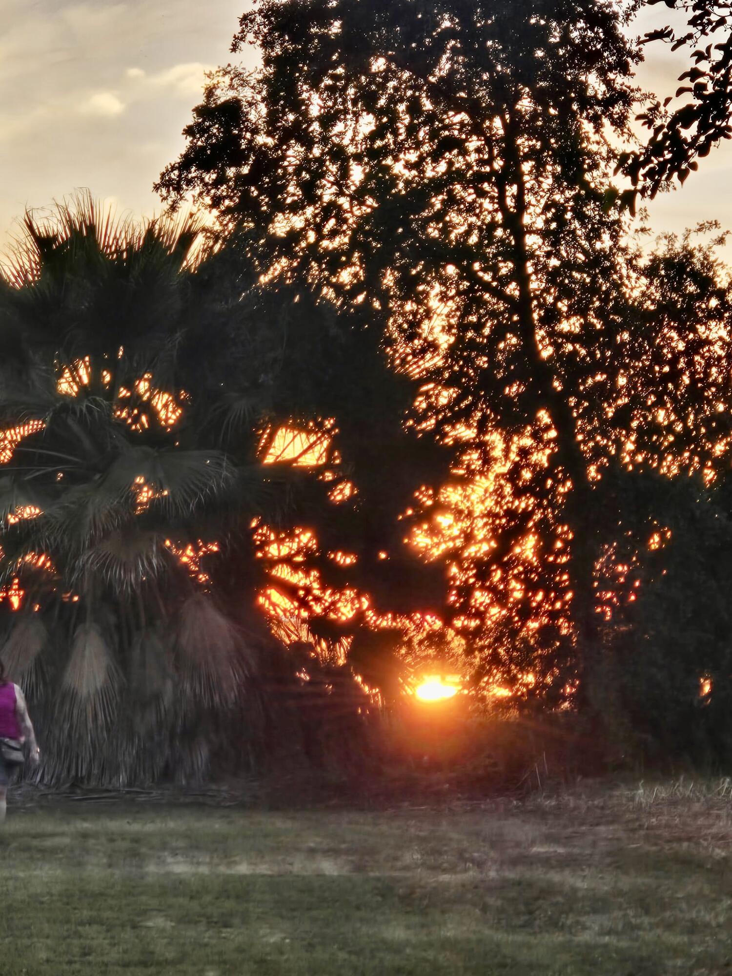 585 S Valencia Blvd, Woodlake, CA 93286