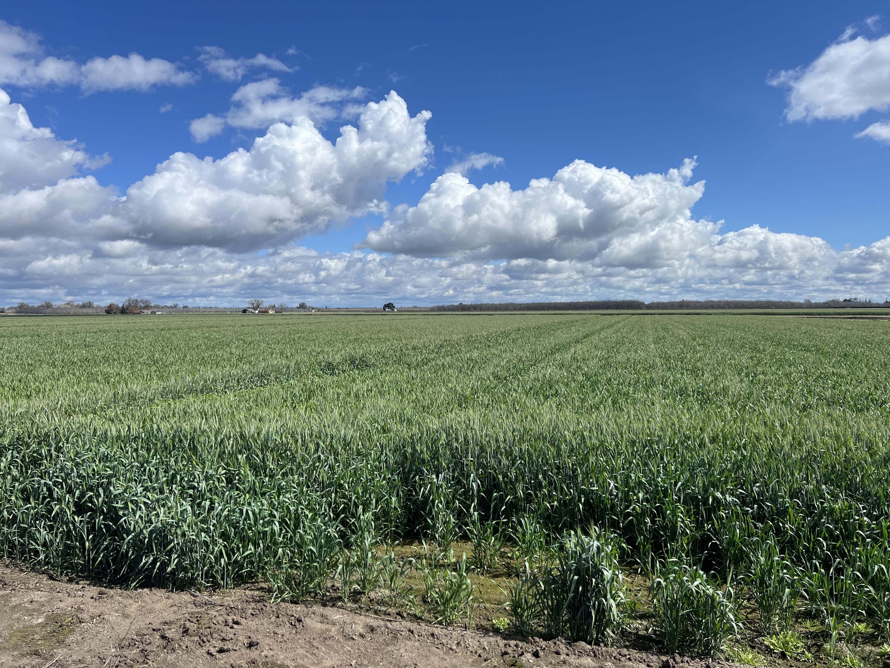 15400 Excelsior Avenue Ave, Hanford, CA 93230