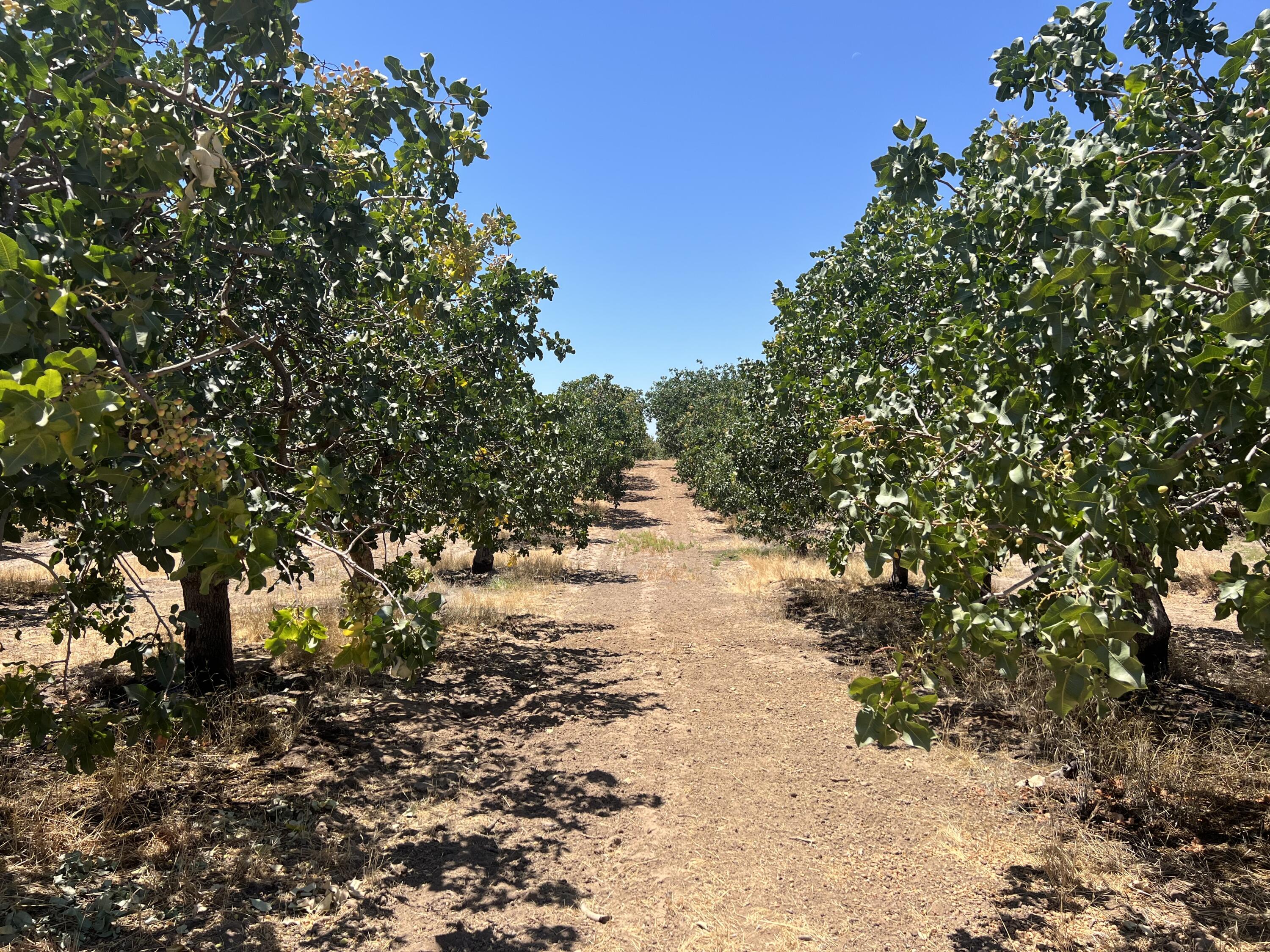 0 Road 27, Madera, CA 93638