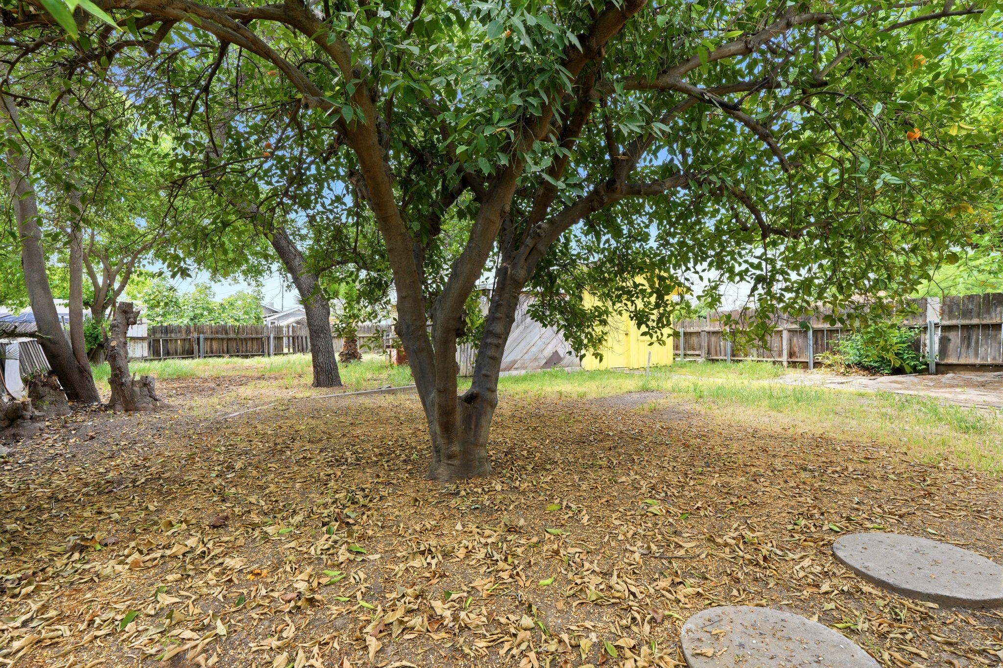 321 W Kanai Ave, Porterville, CA 93257