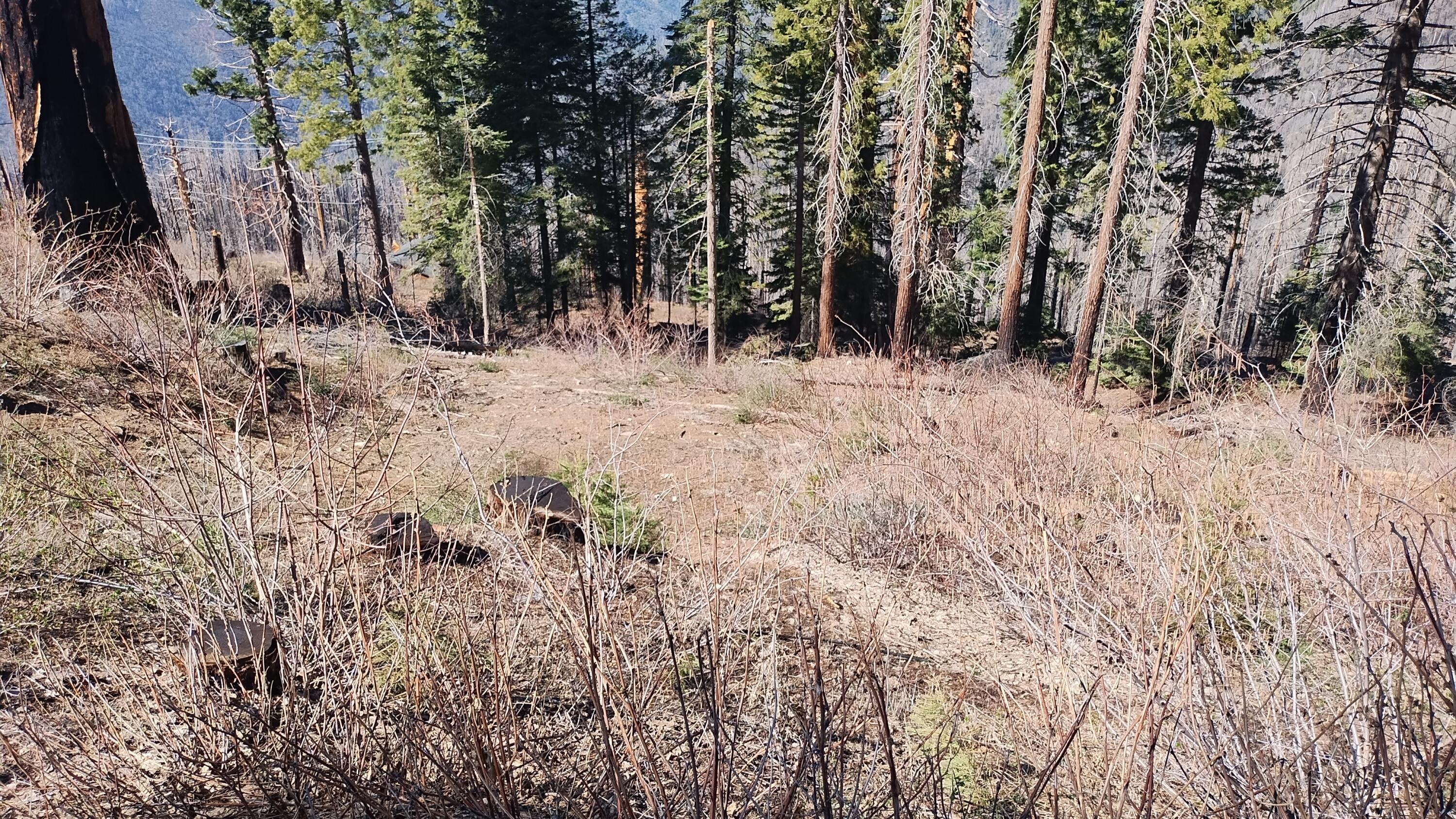 55058 Redwood Dr, Sequoia Crest, CA 93265