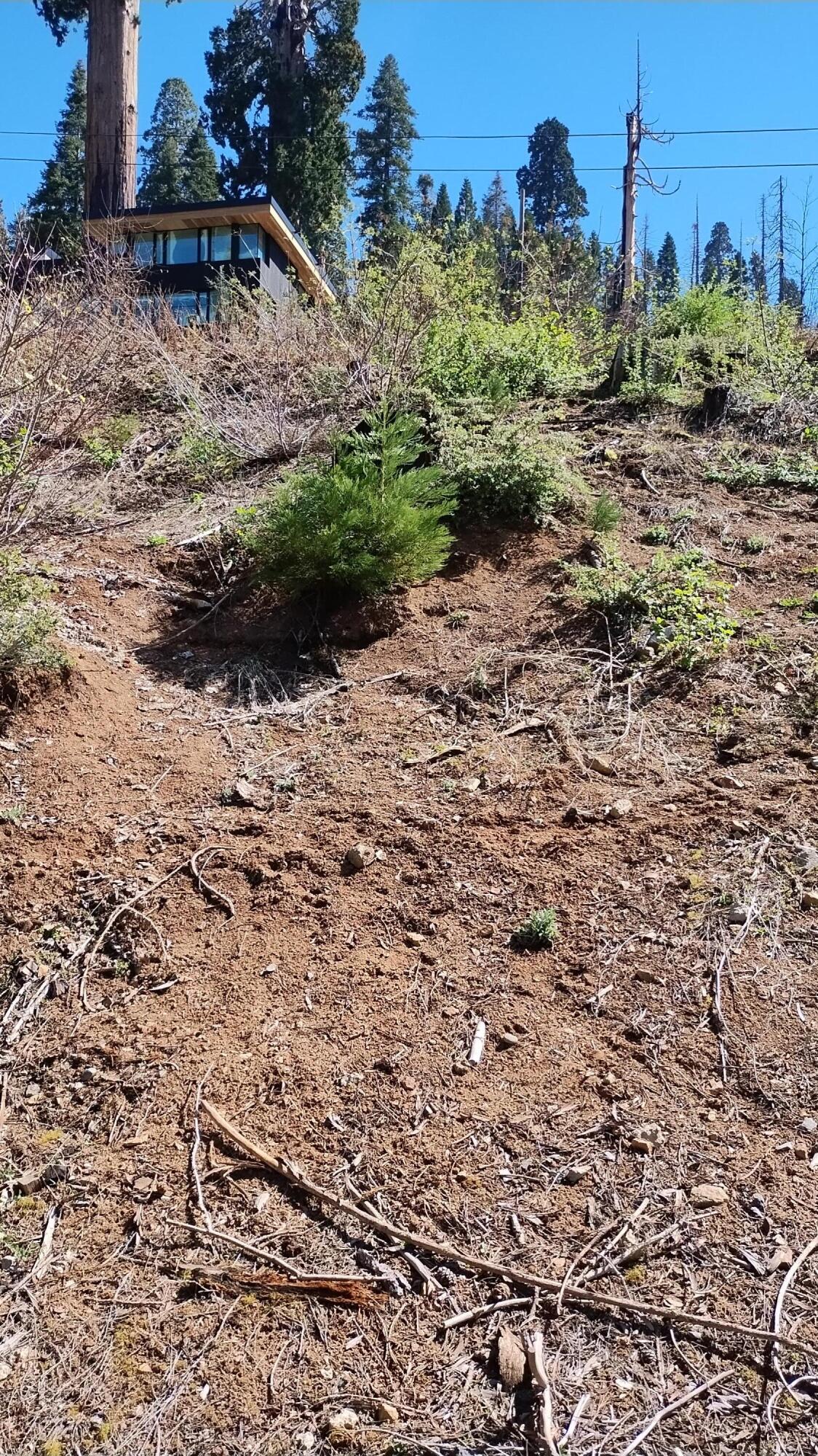 55058 Redwood Dr, Sequoia Crest, CA 93265