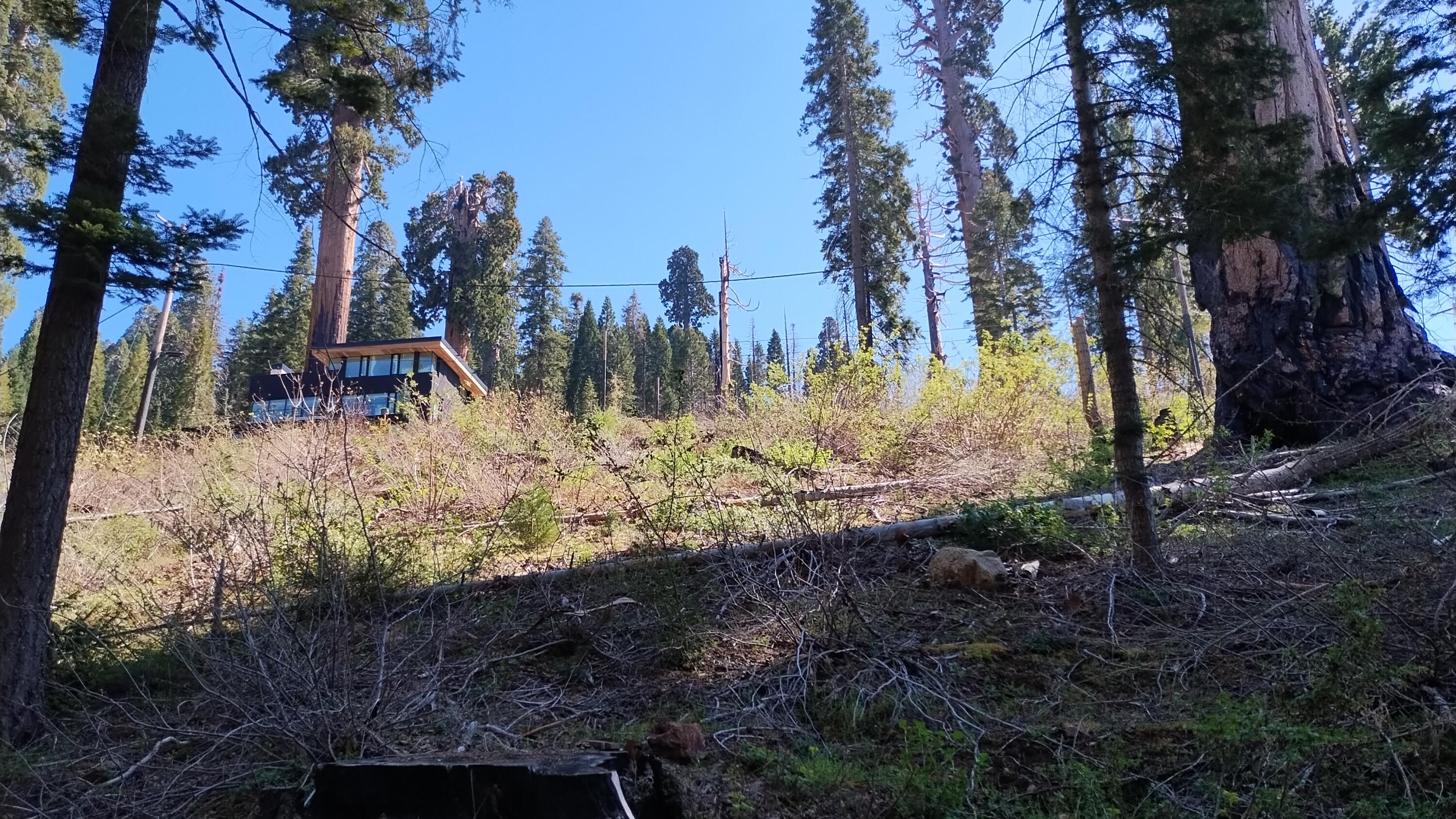 55058 Redwood Dr, Sequoia Crest, CA 93265