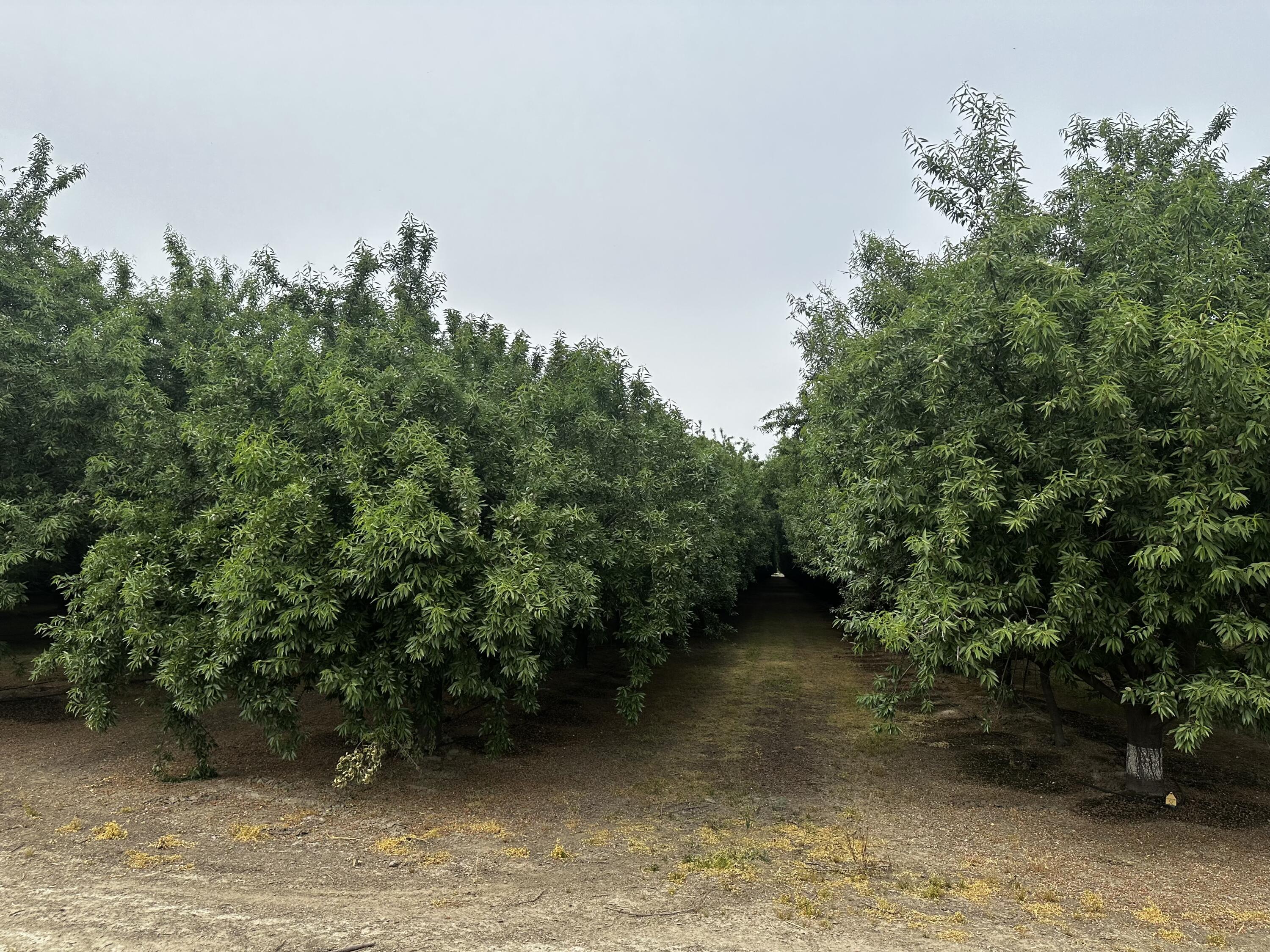 0 Grangeville Blvd, Lemoore, CA 93245