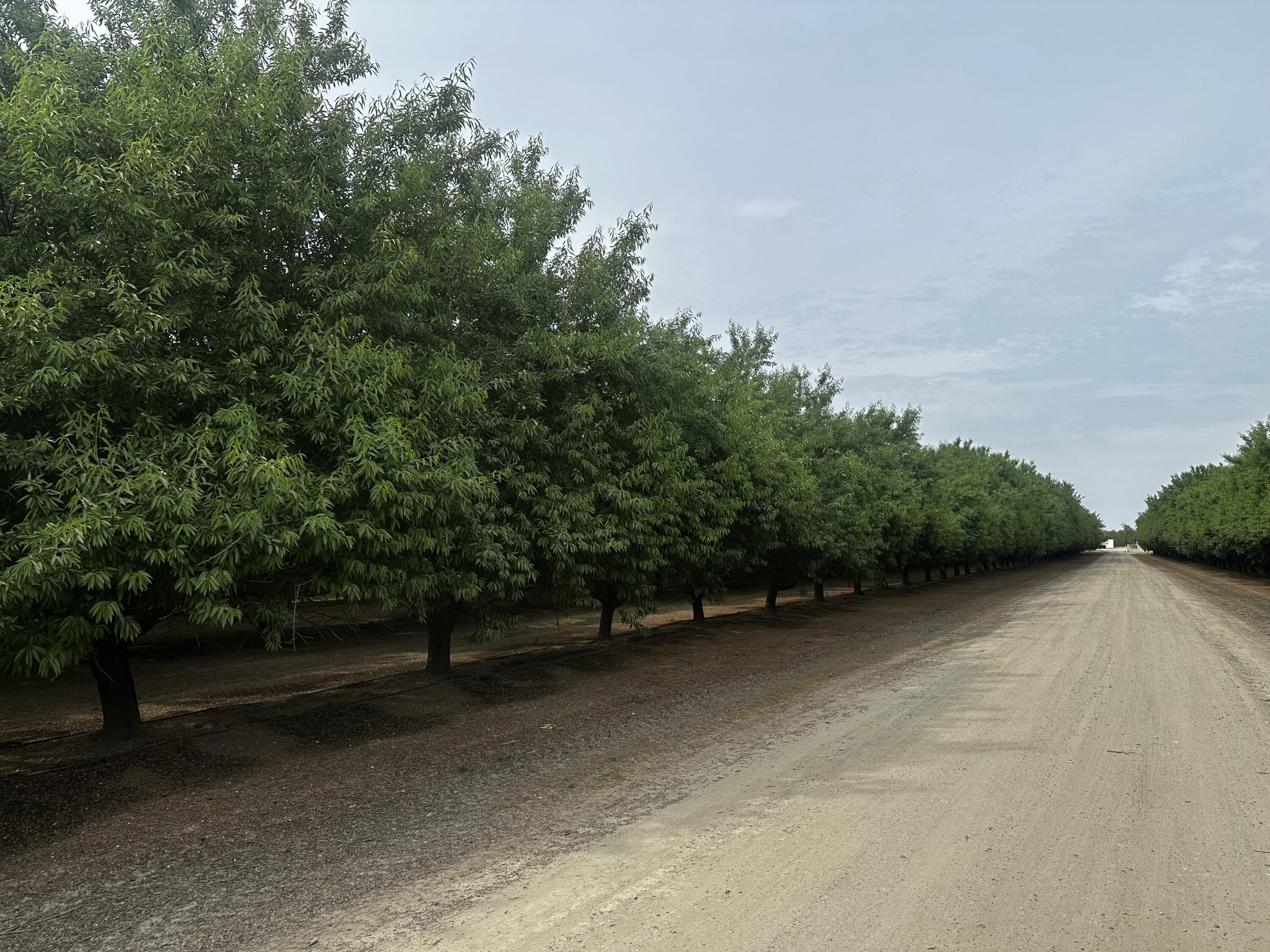 0 Grangeville Blvd, Lemoore, CA 93245