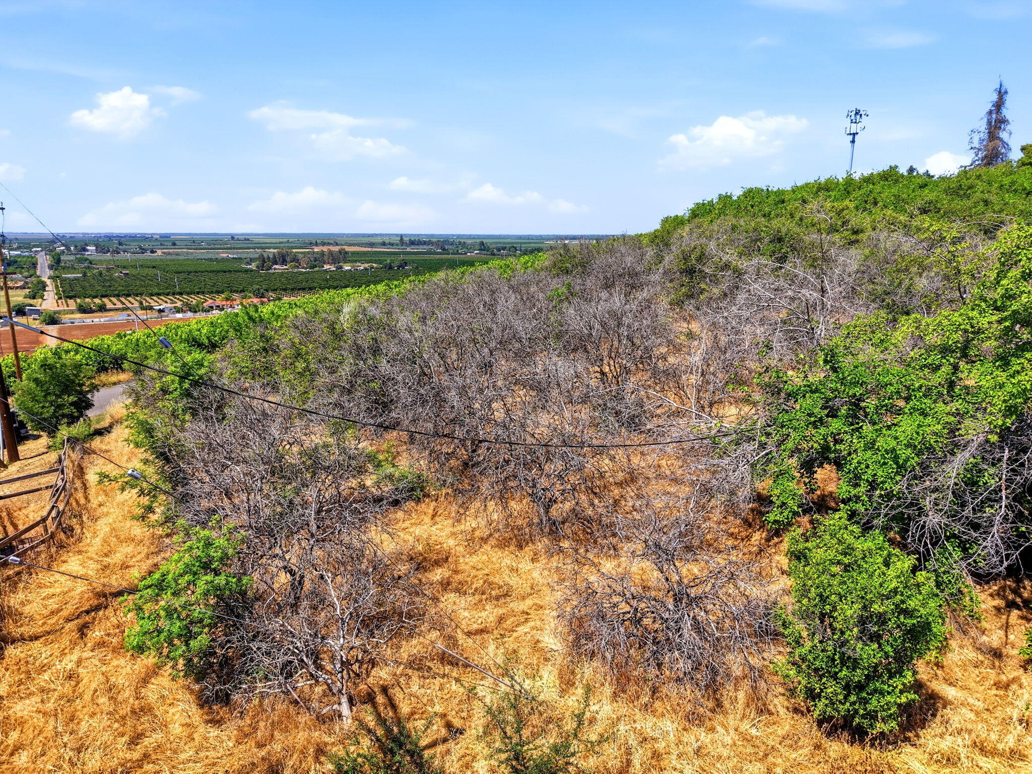 24058 Rancho Vista Ave, Lindsay, CA 93247